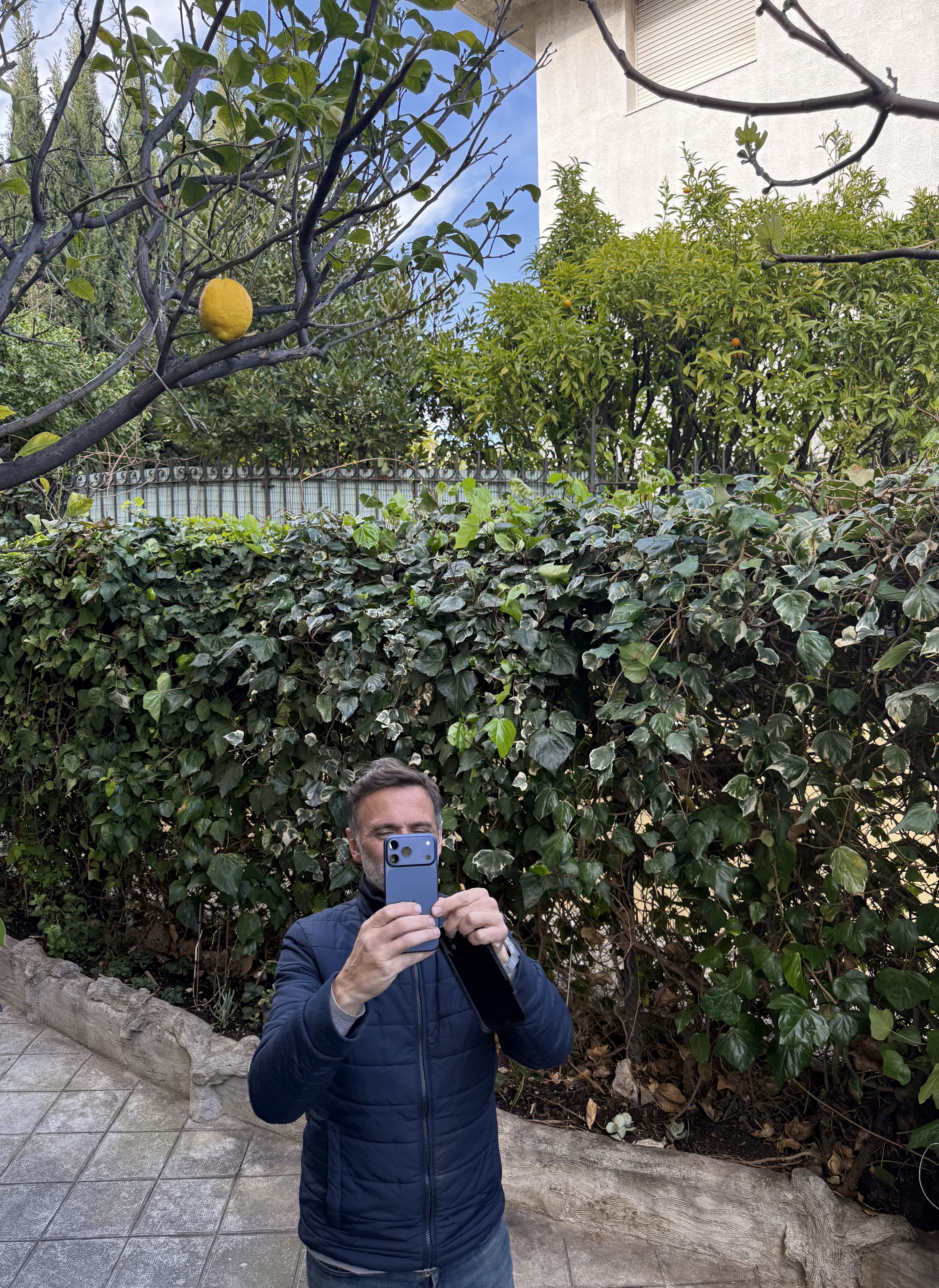 image-11
