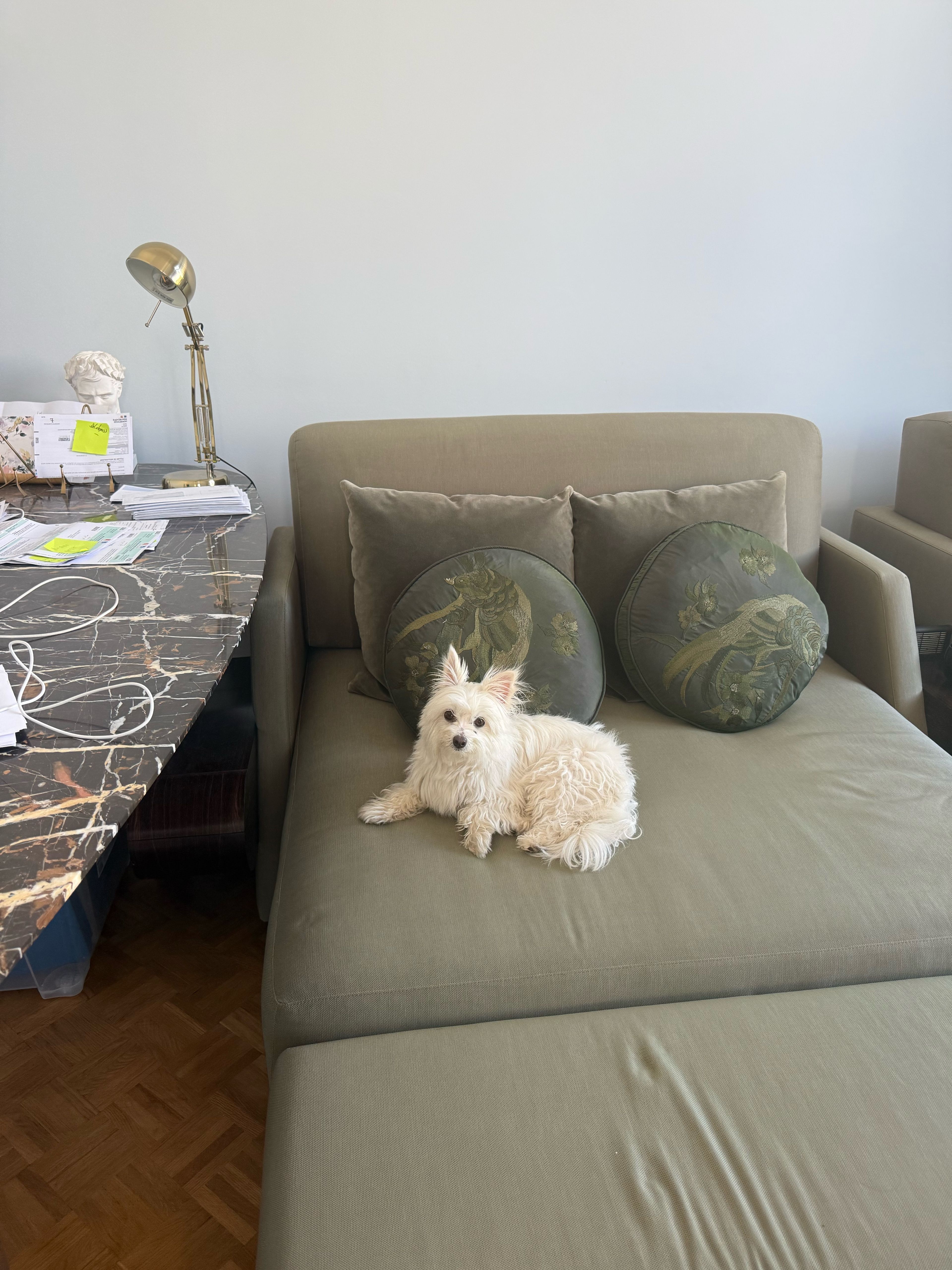 image-15