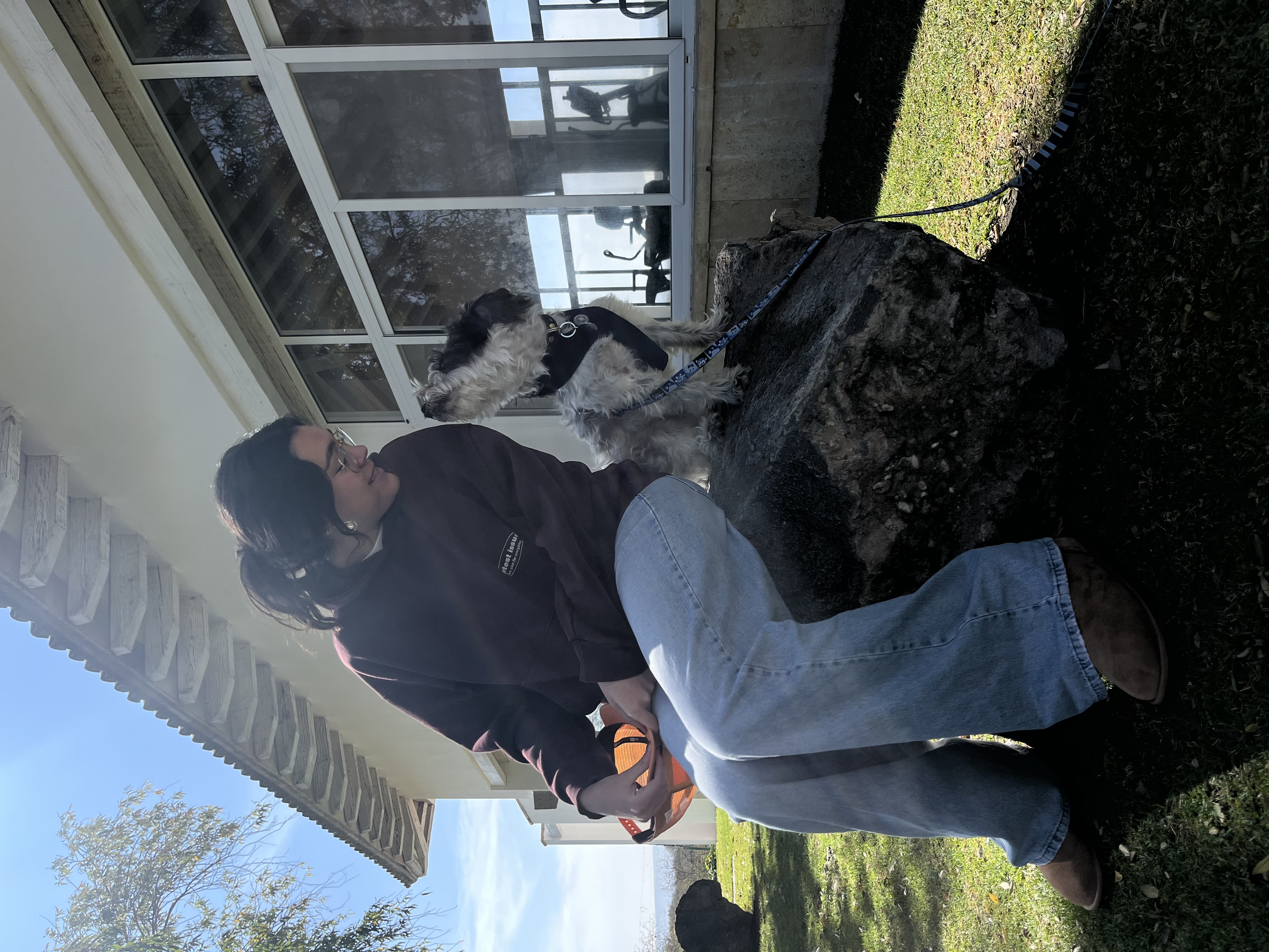 image-2