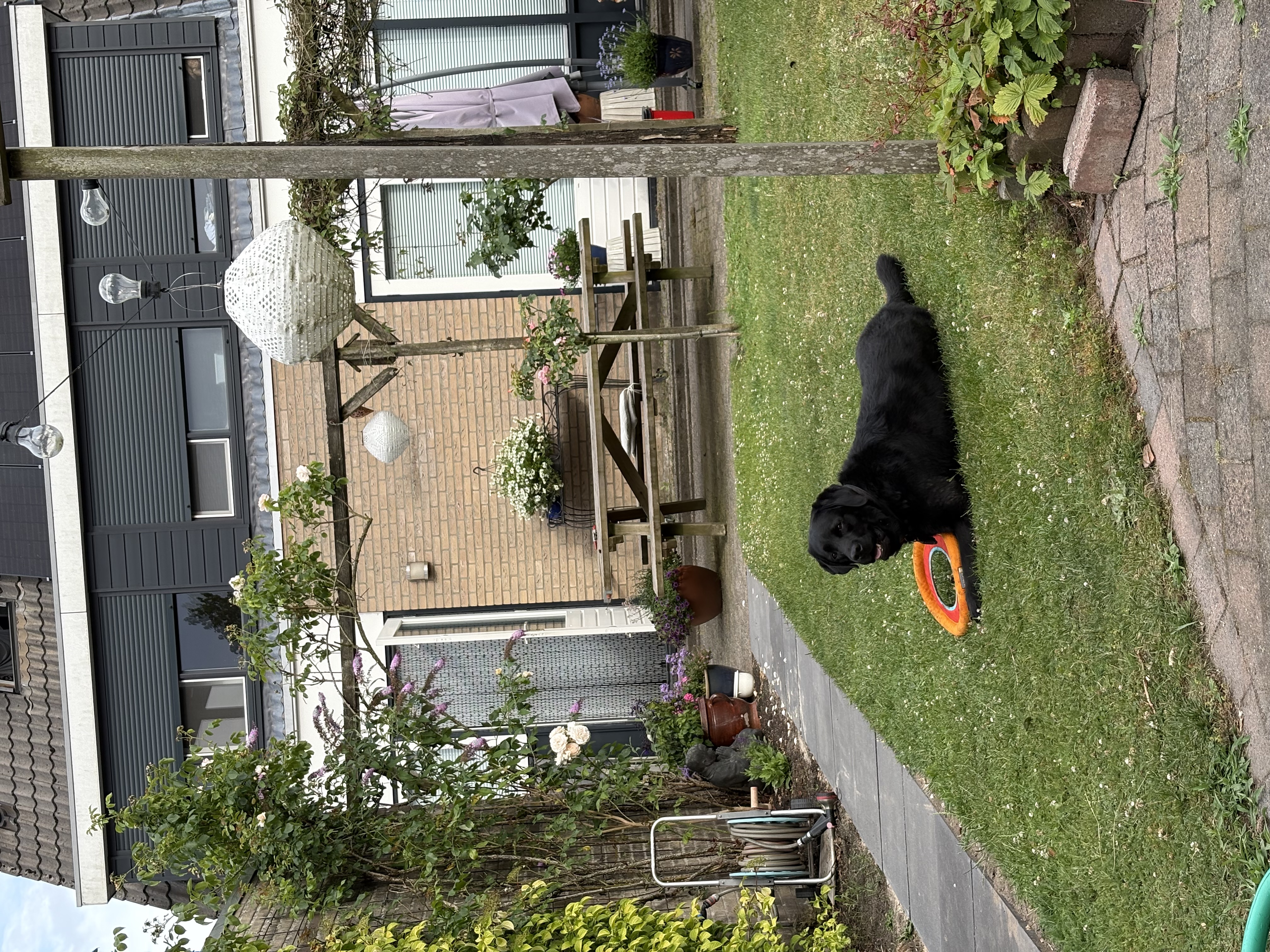 image-15