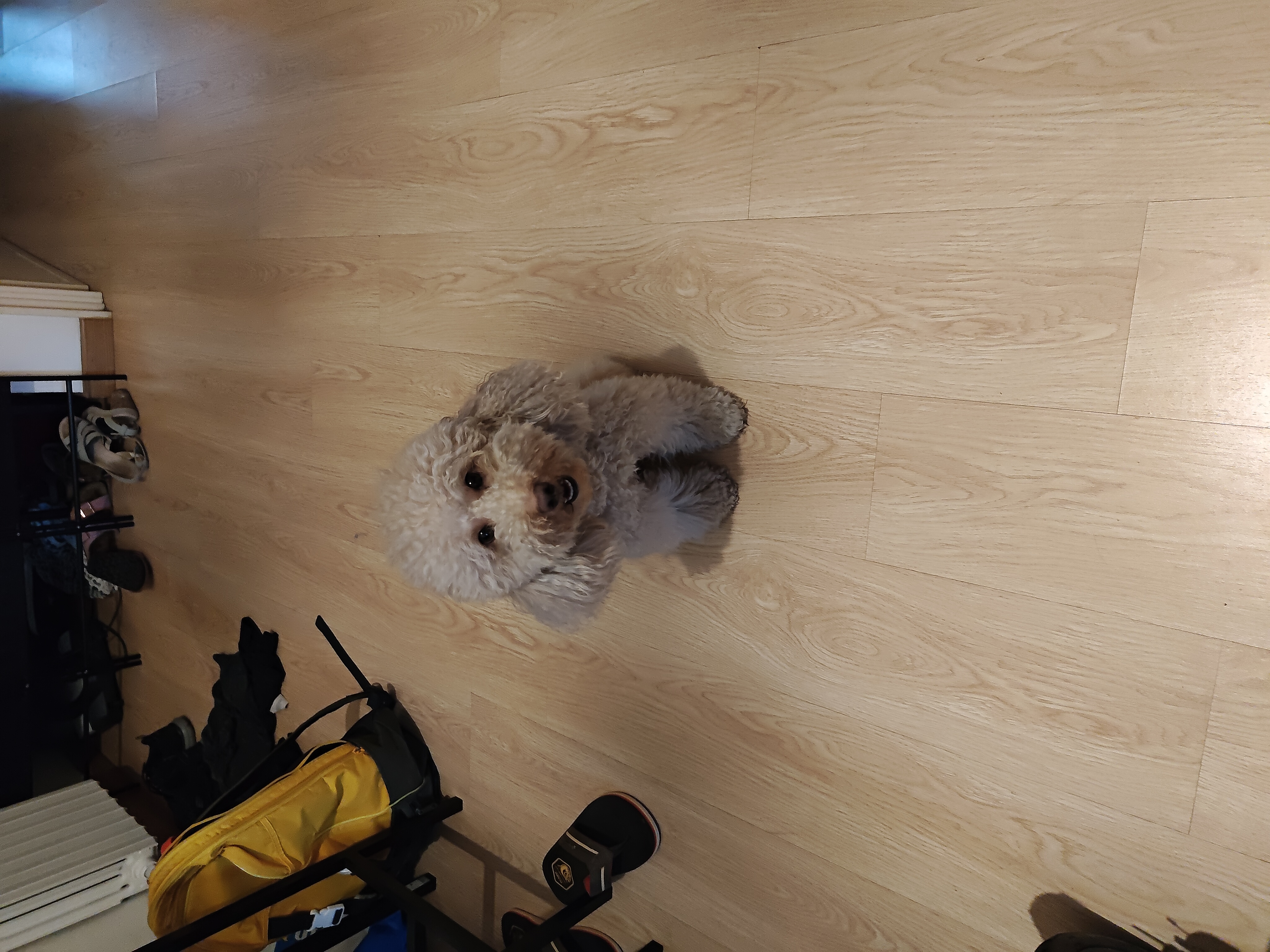 image-6