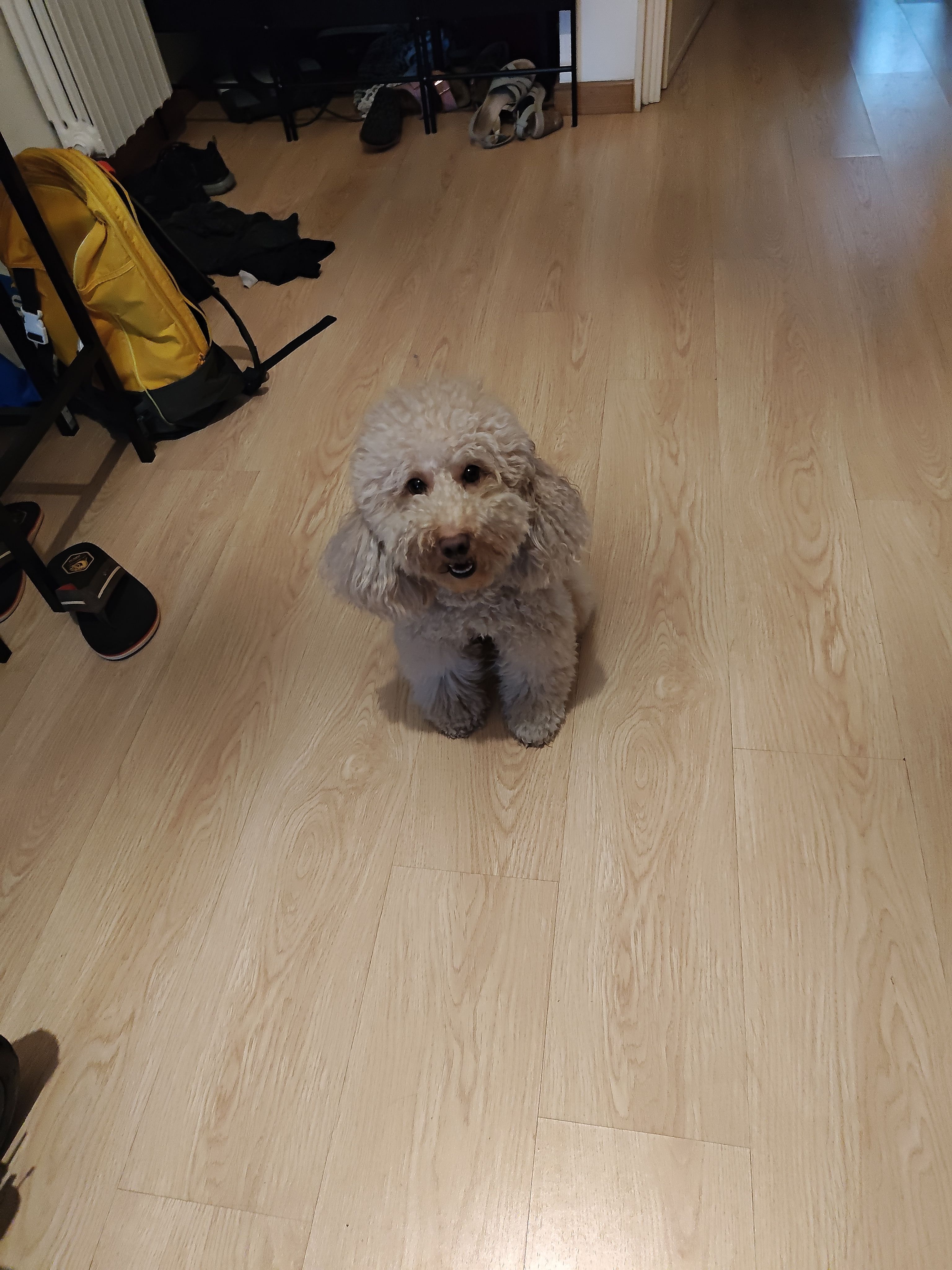 image-6