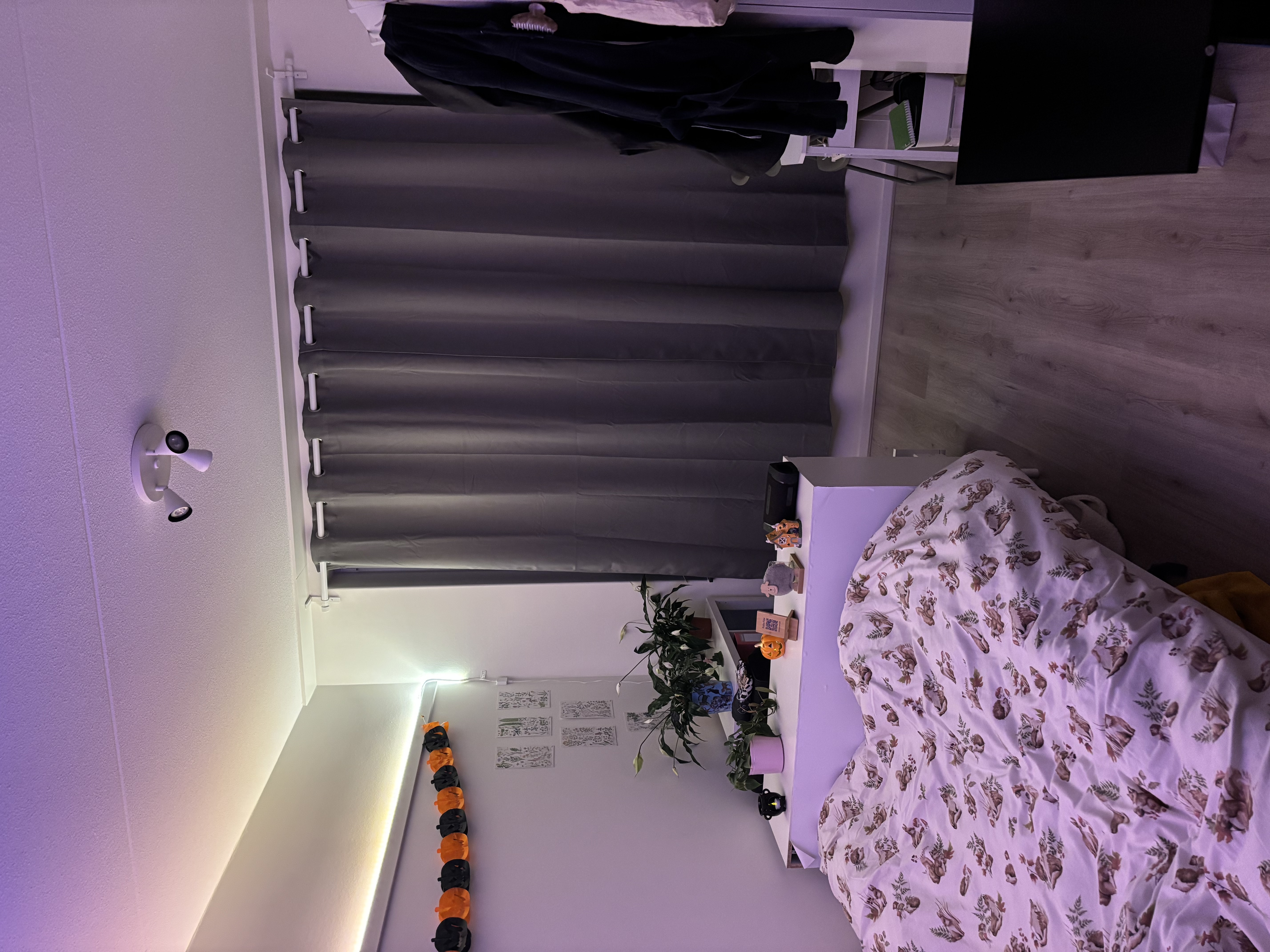 image-11