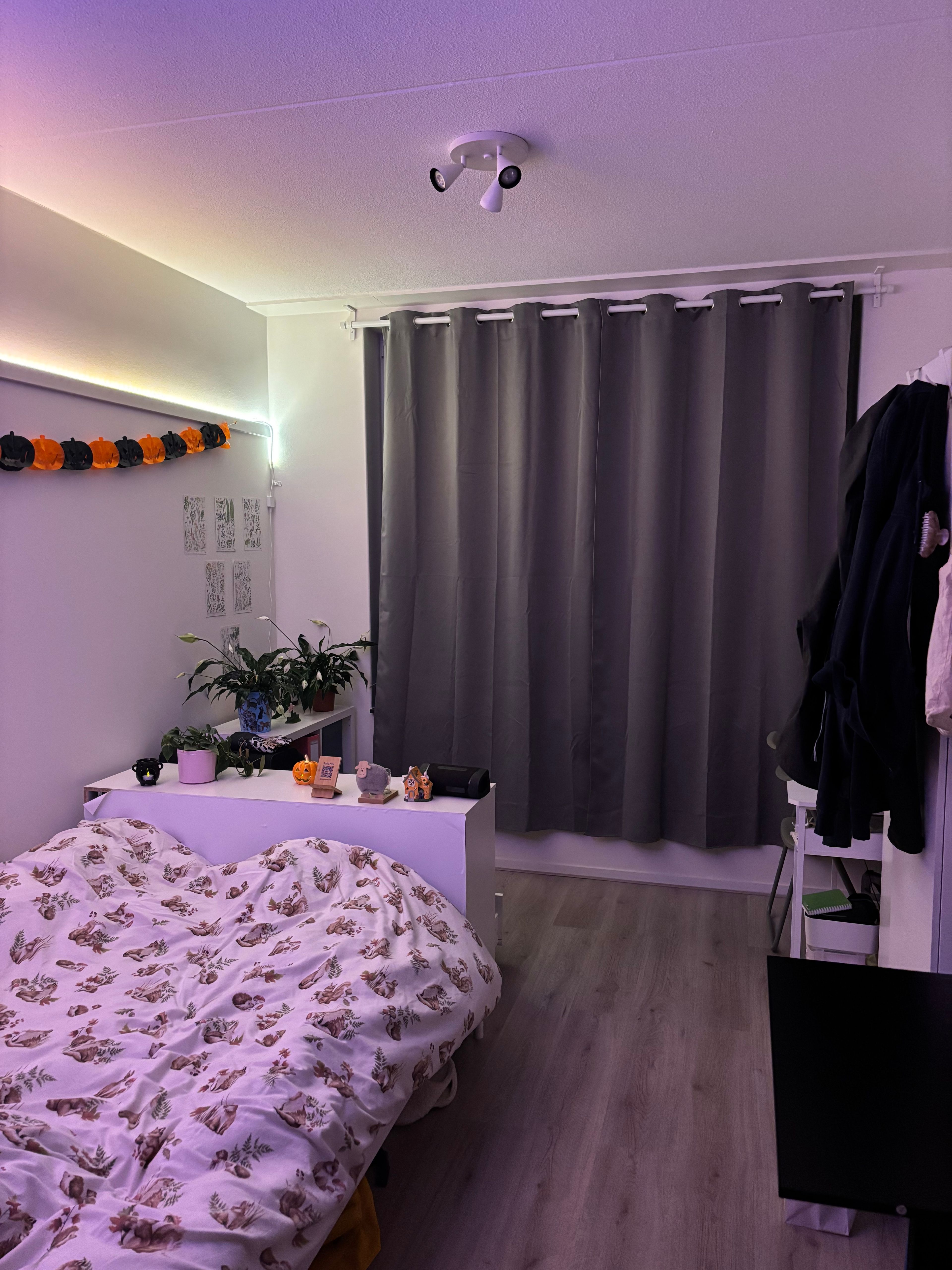 image-11