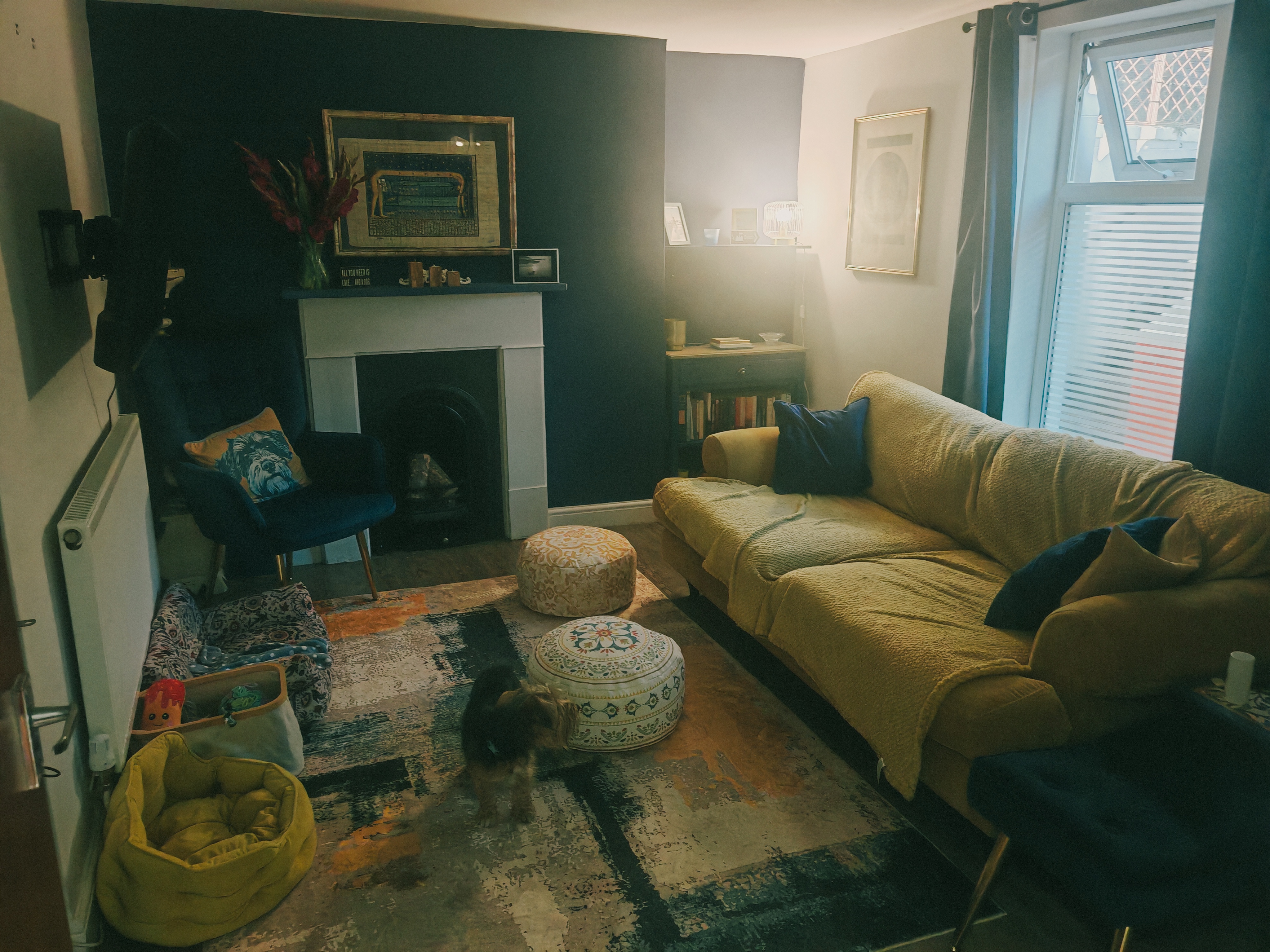 image-19