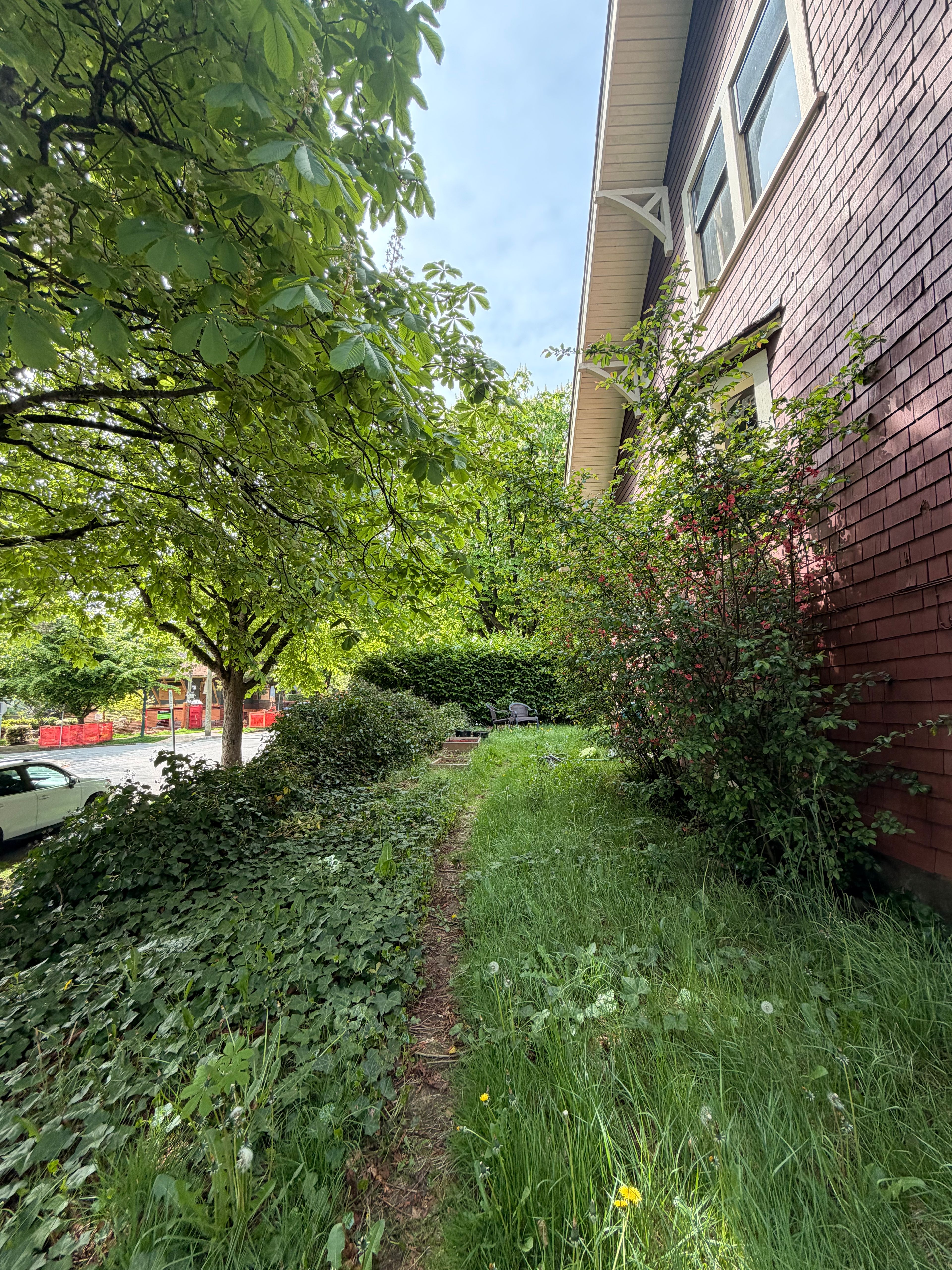 image-19