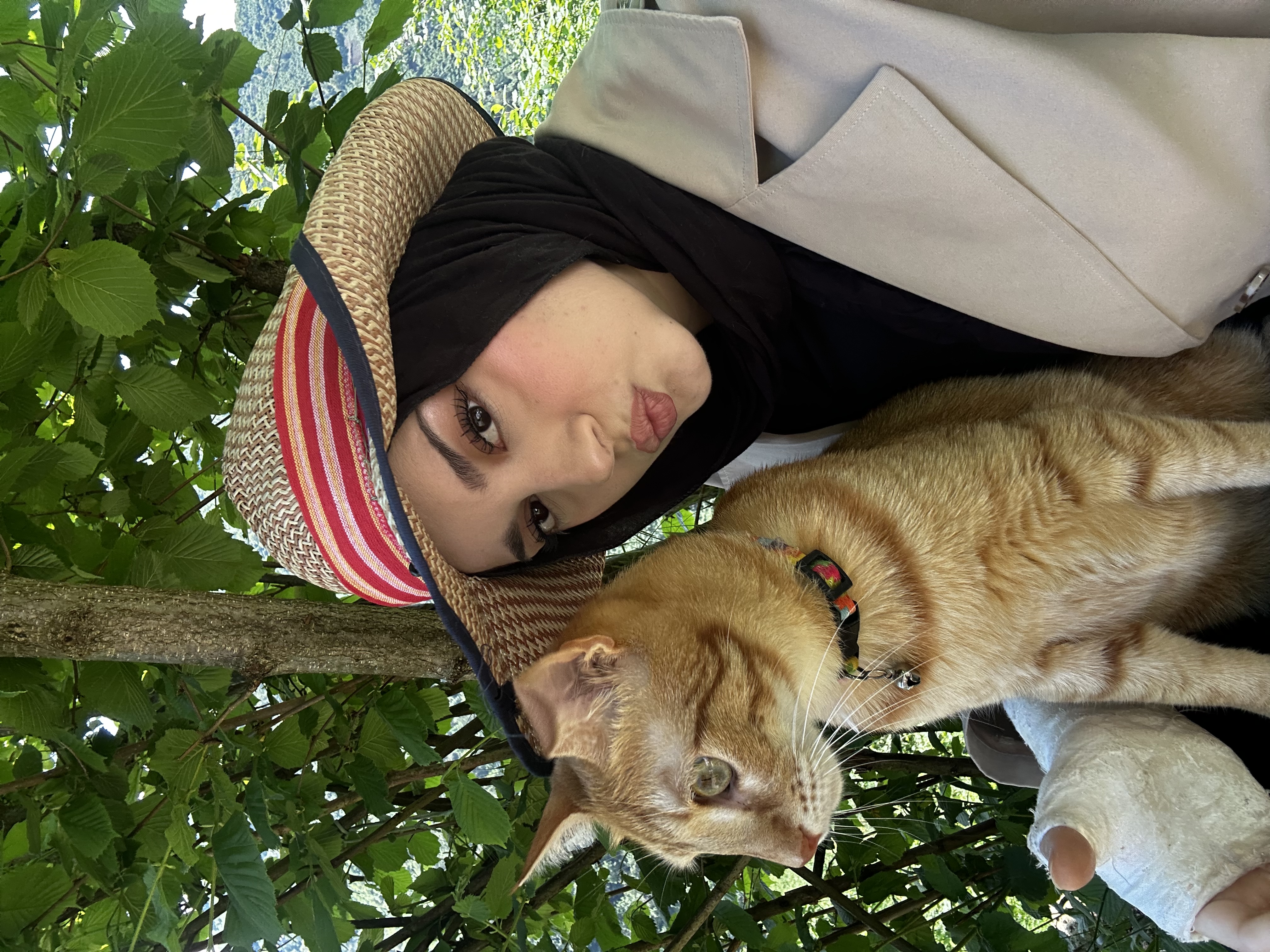 image-7