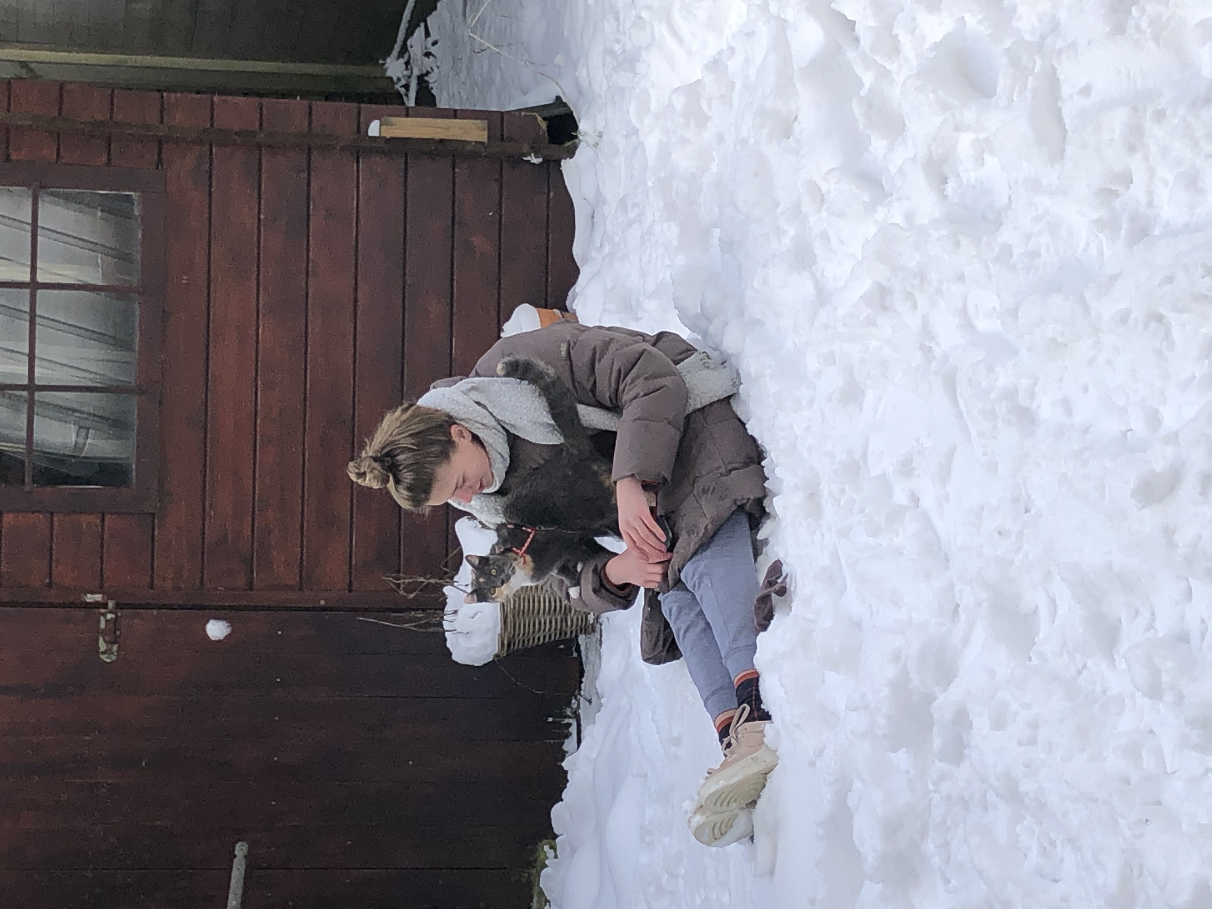 image-6