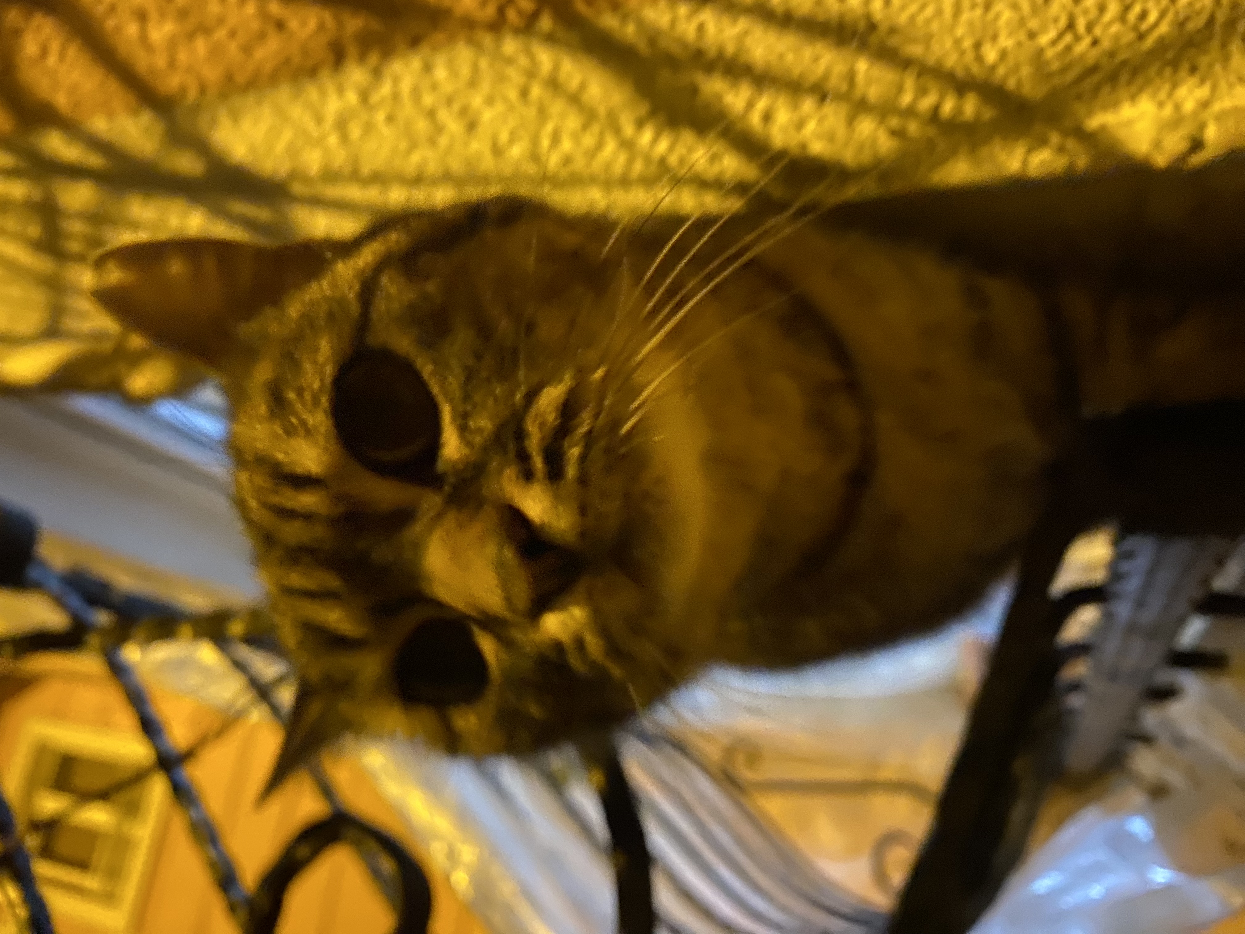image-10