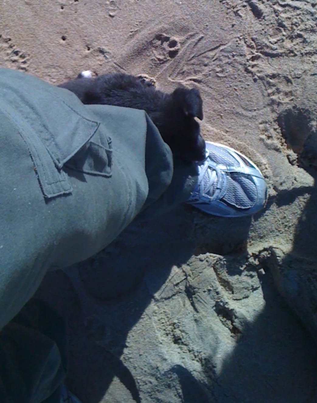 image-8