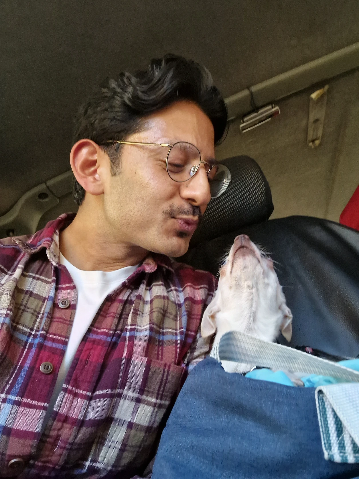 image-6