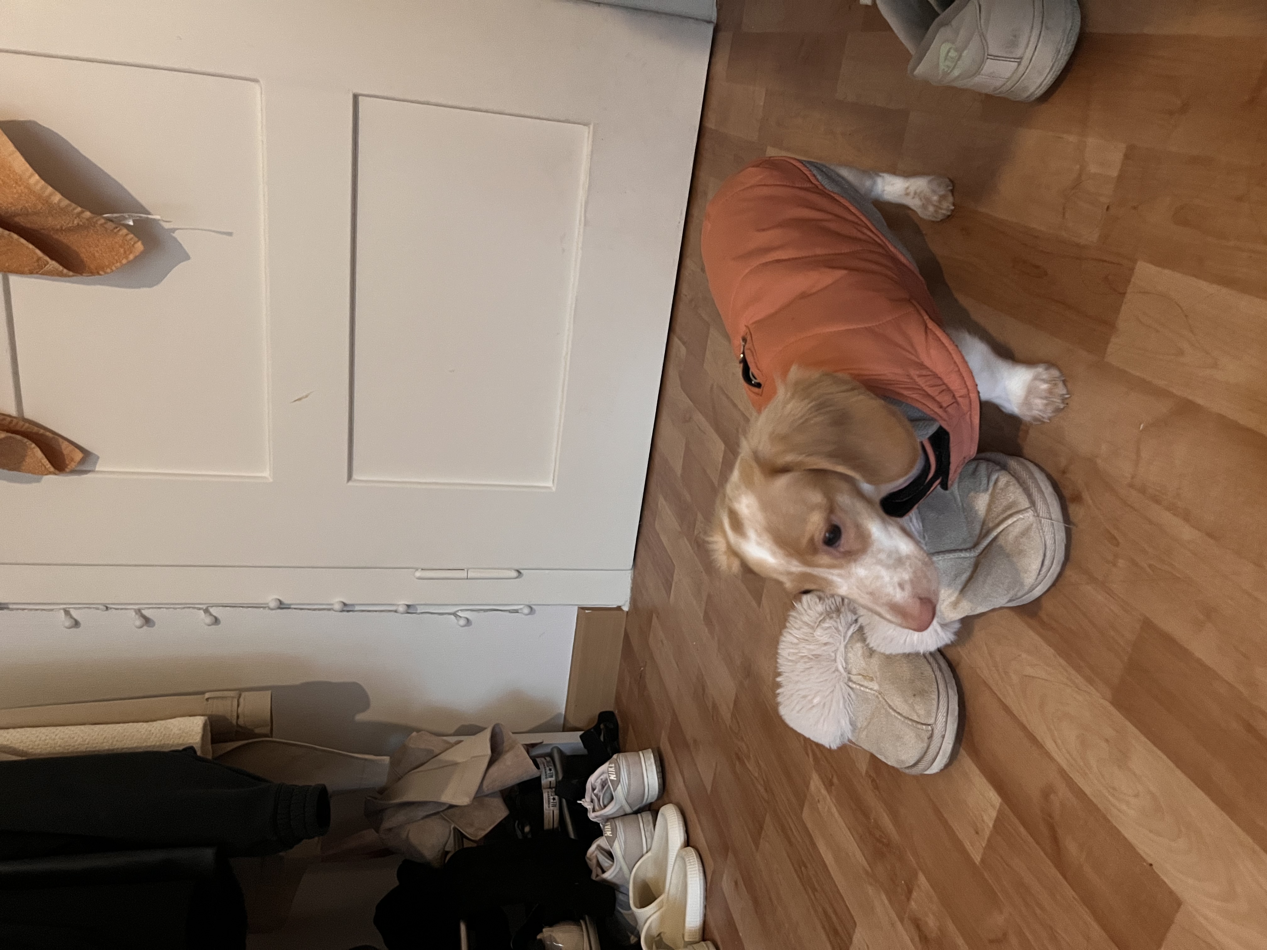 image-15