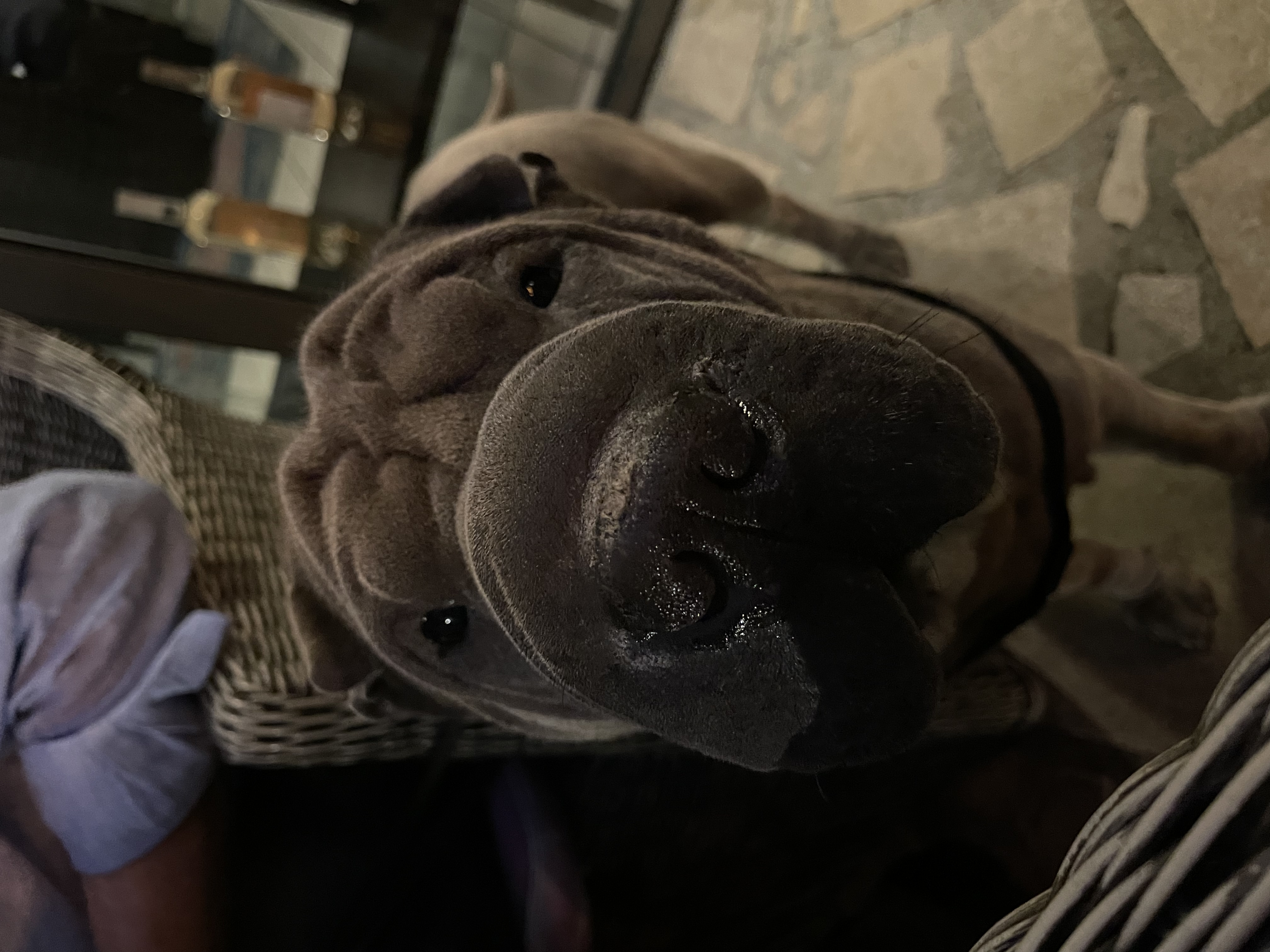 image-7