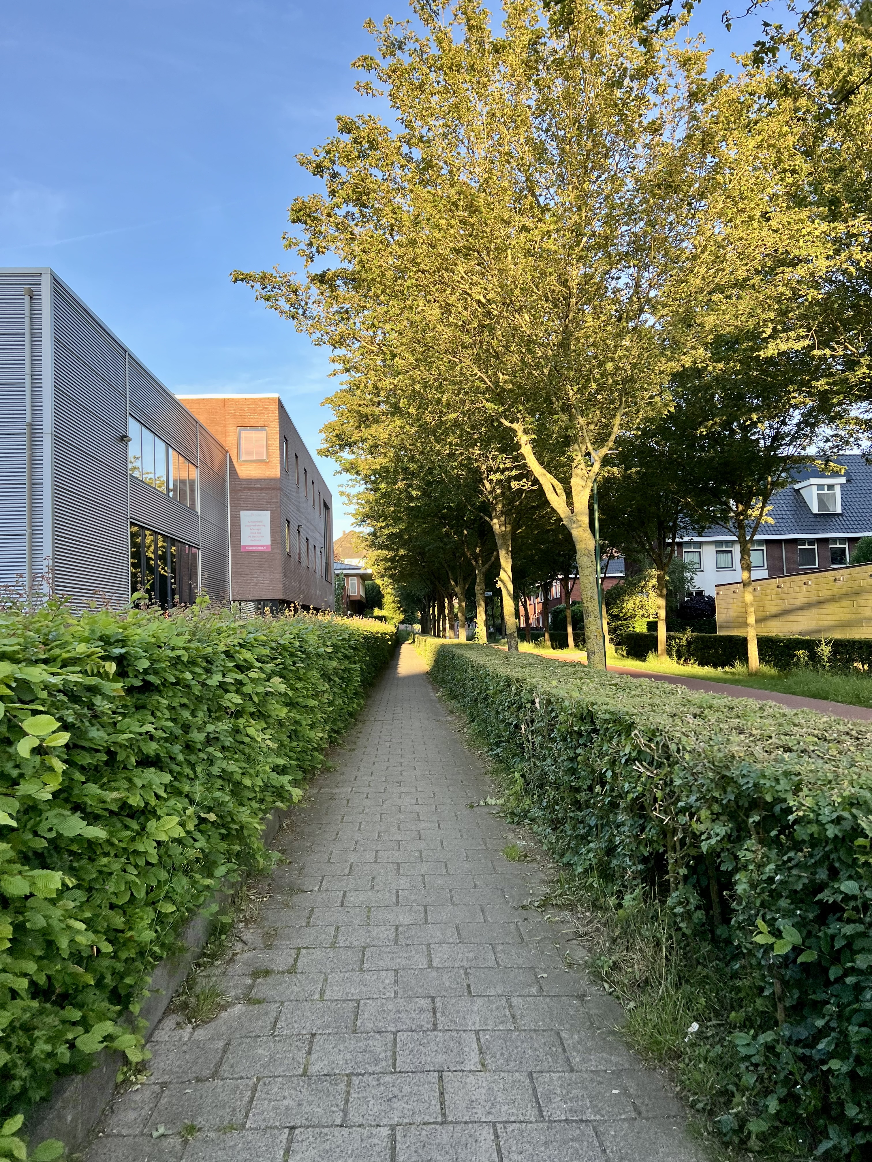 image-17
