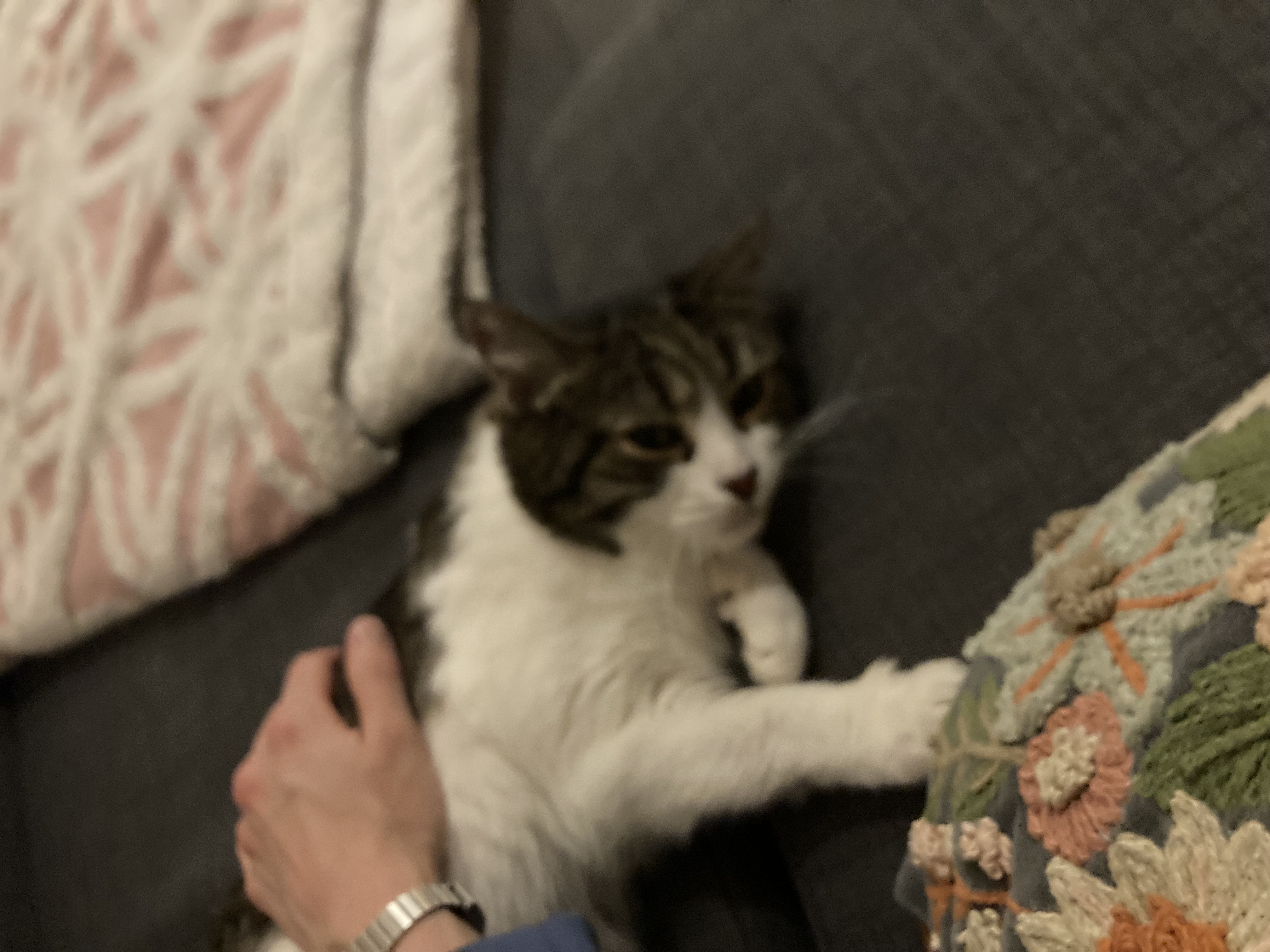 image-6