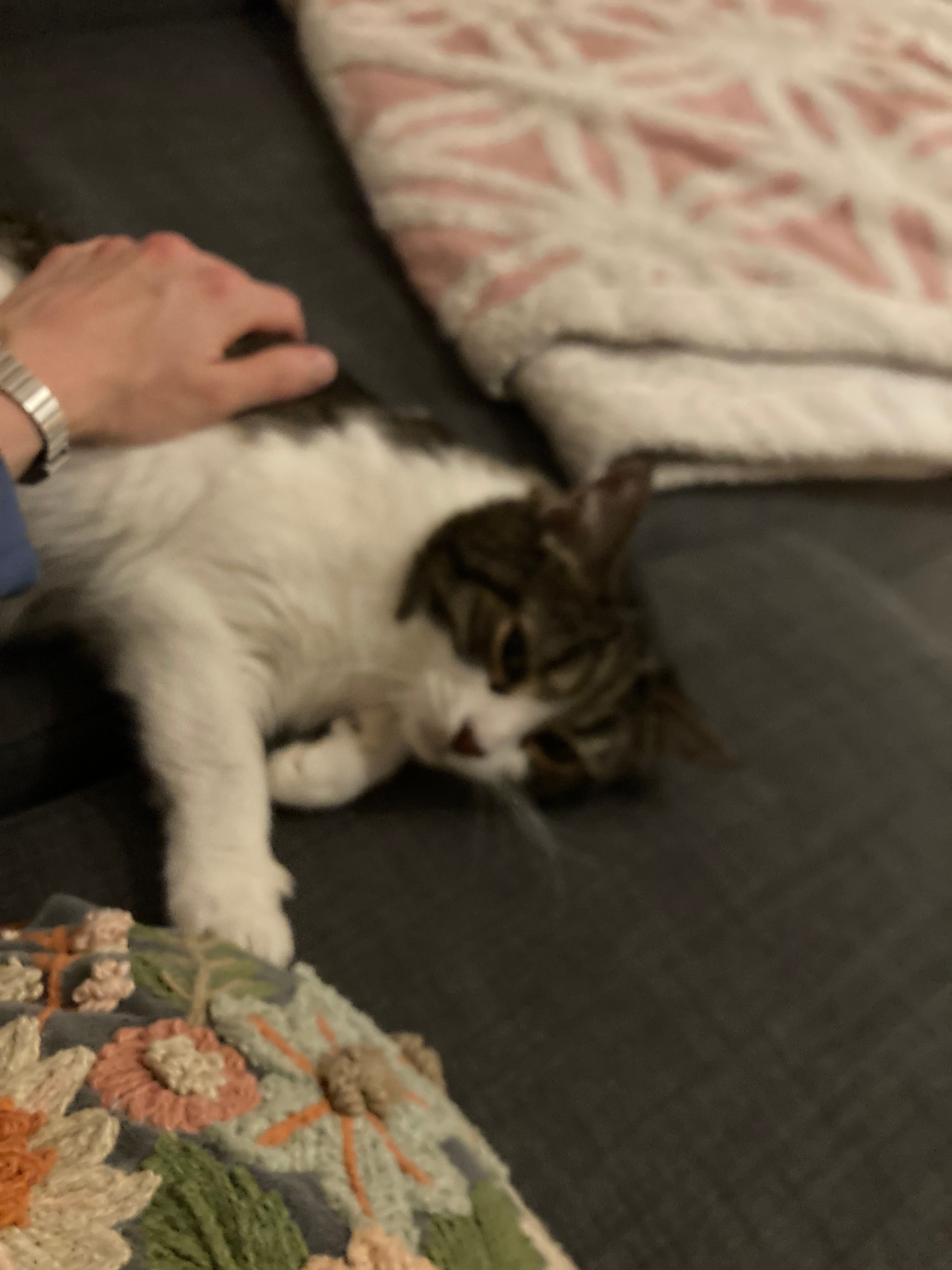 image-6