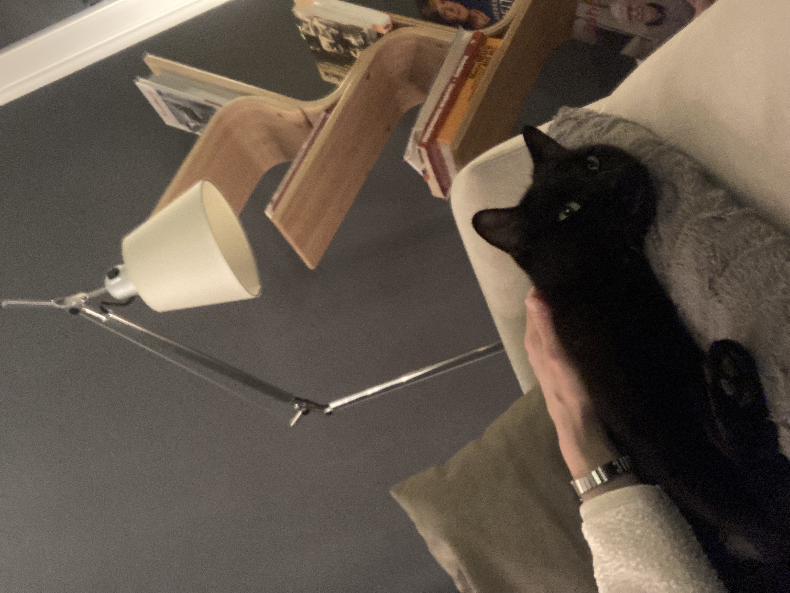 image-7