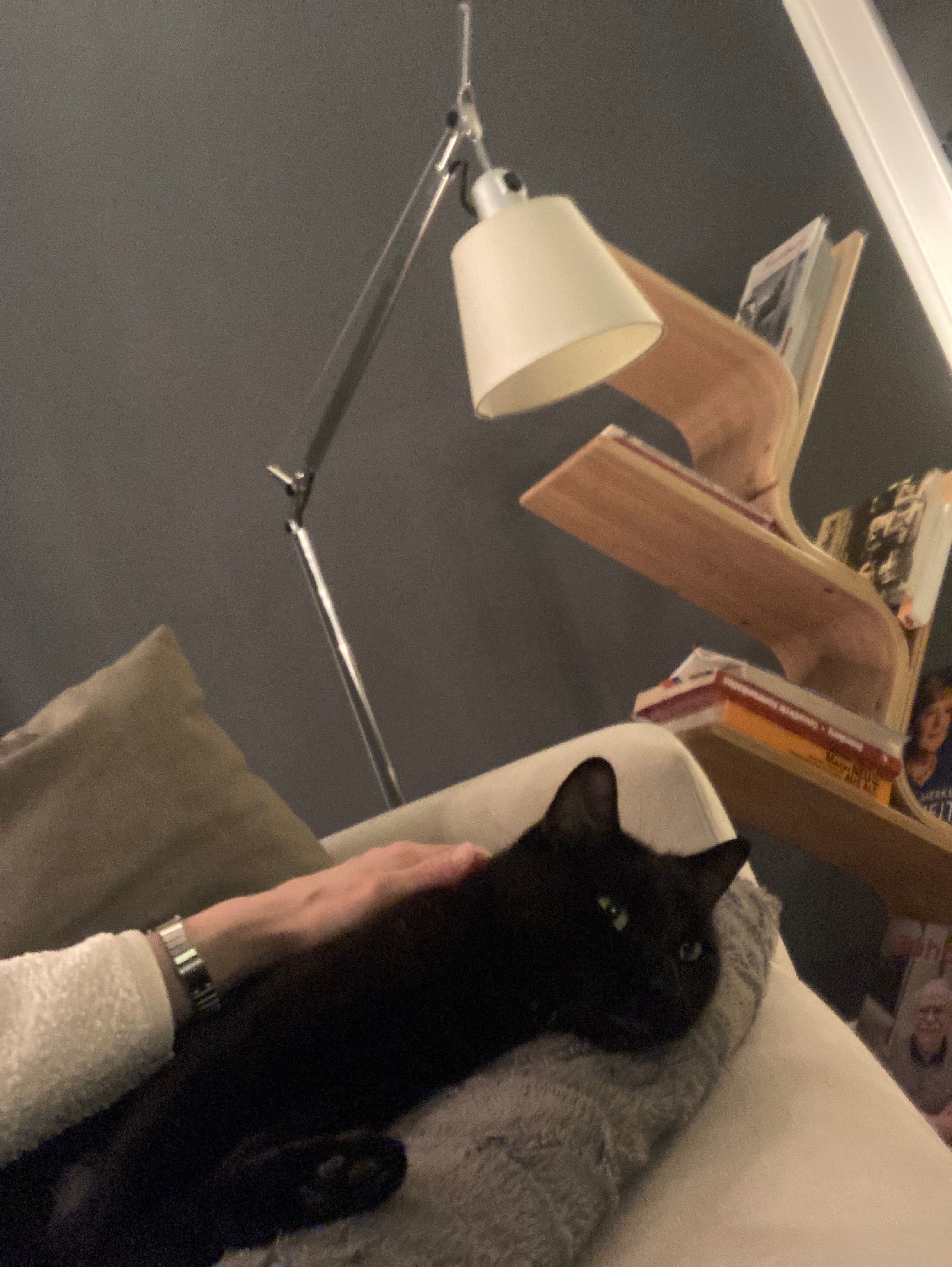 image-7
