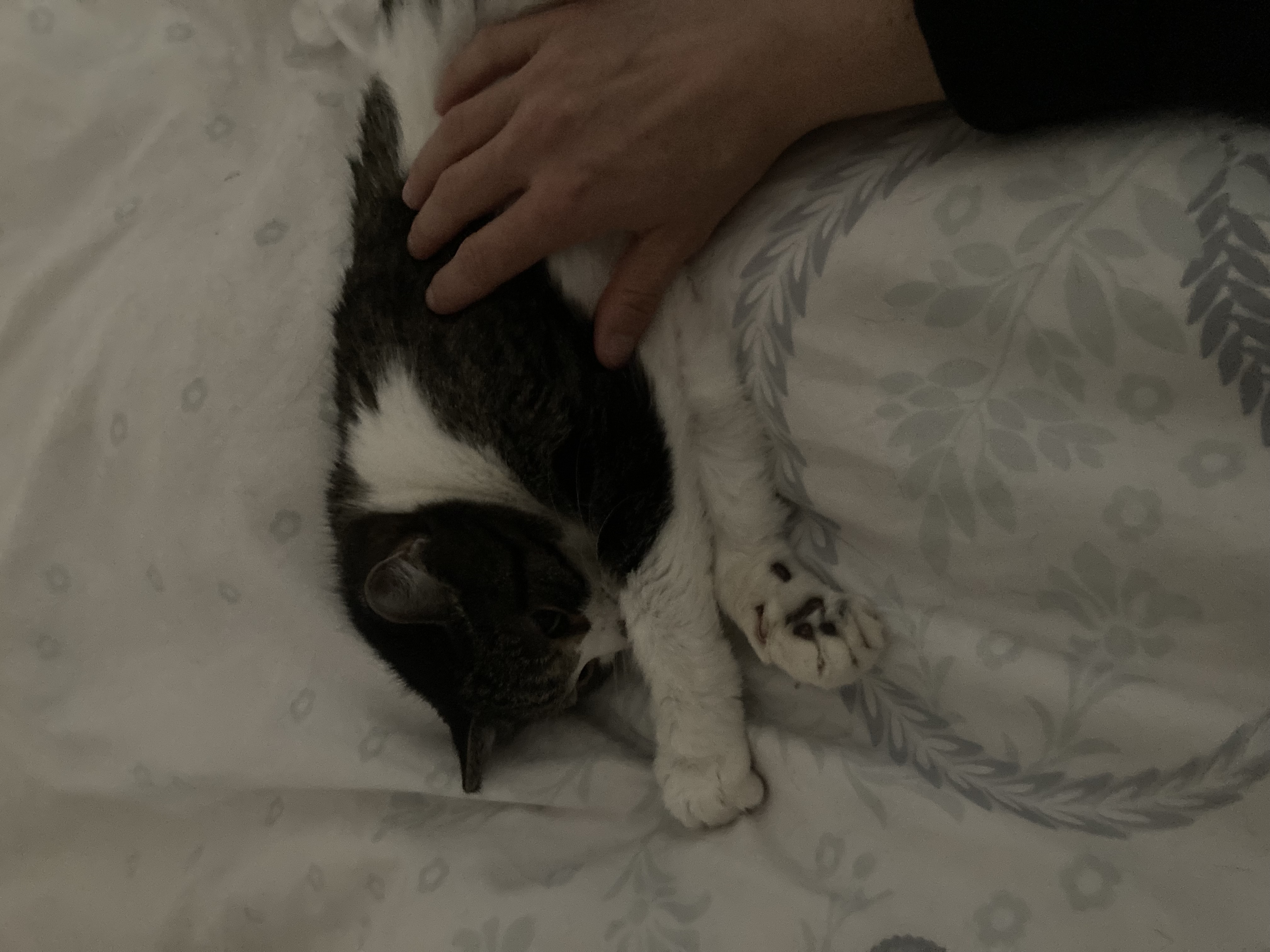 image-8