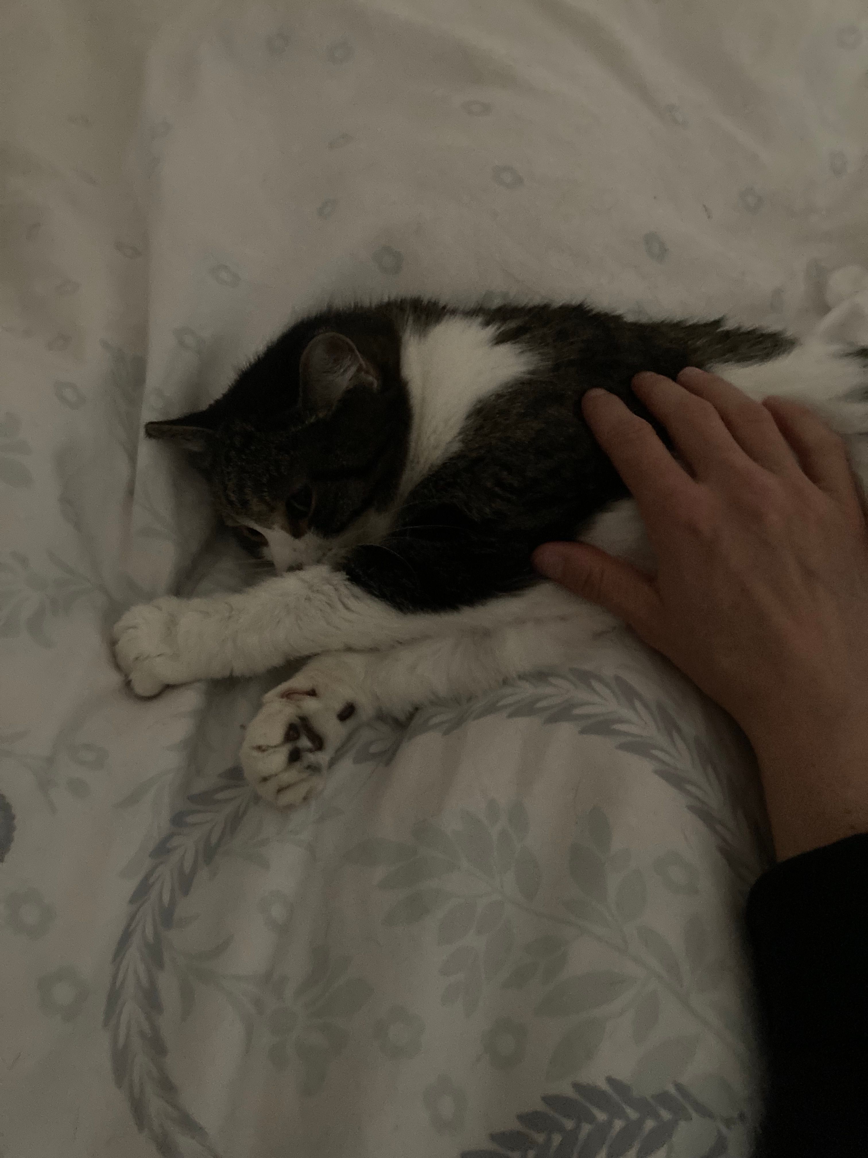 image-8