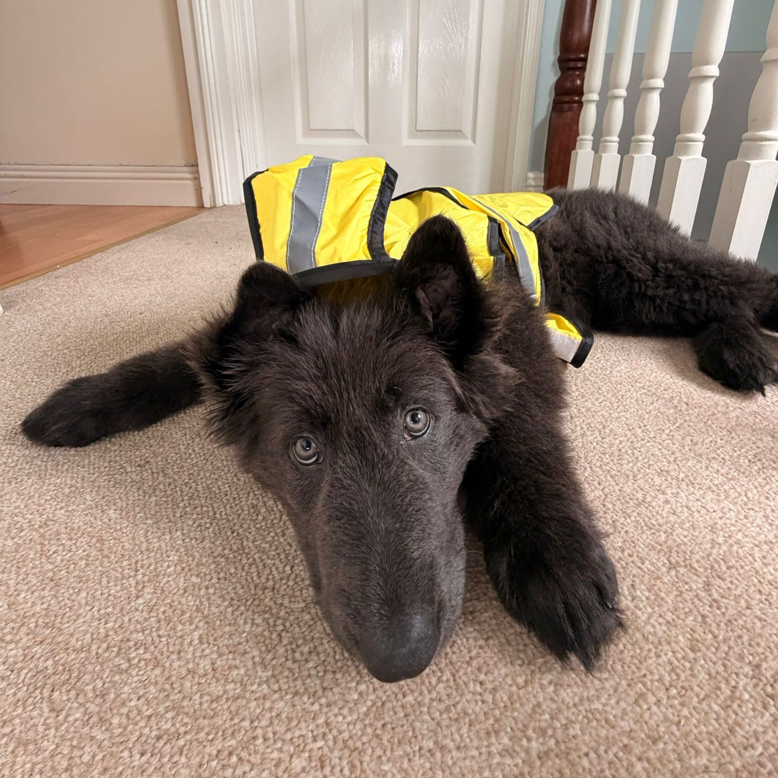 Skye