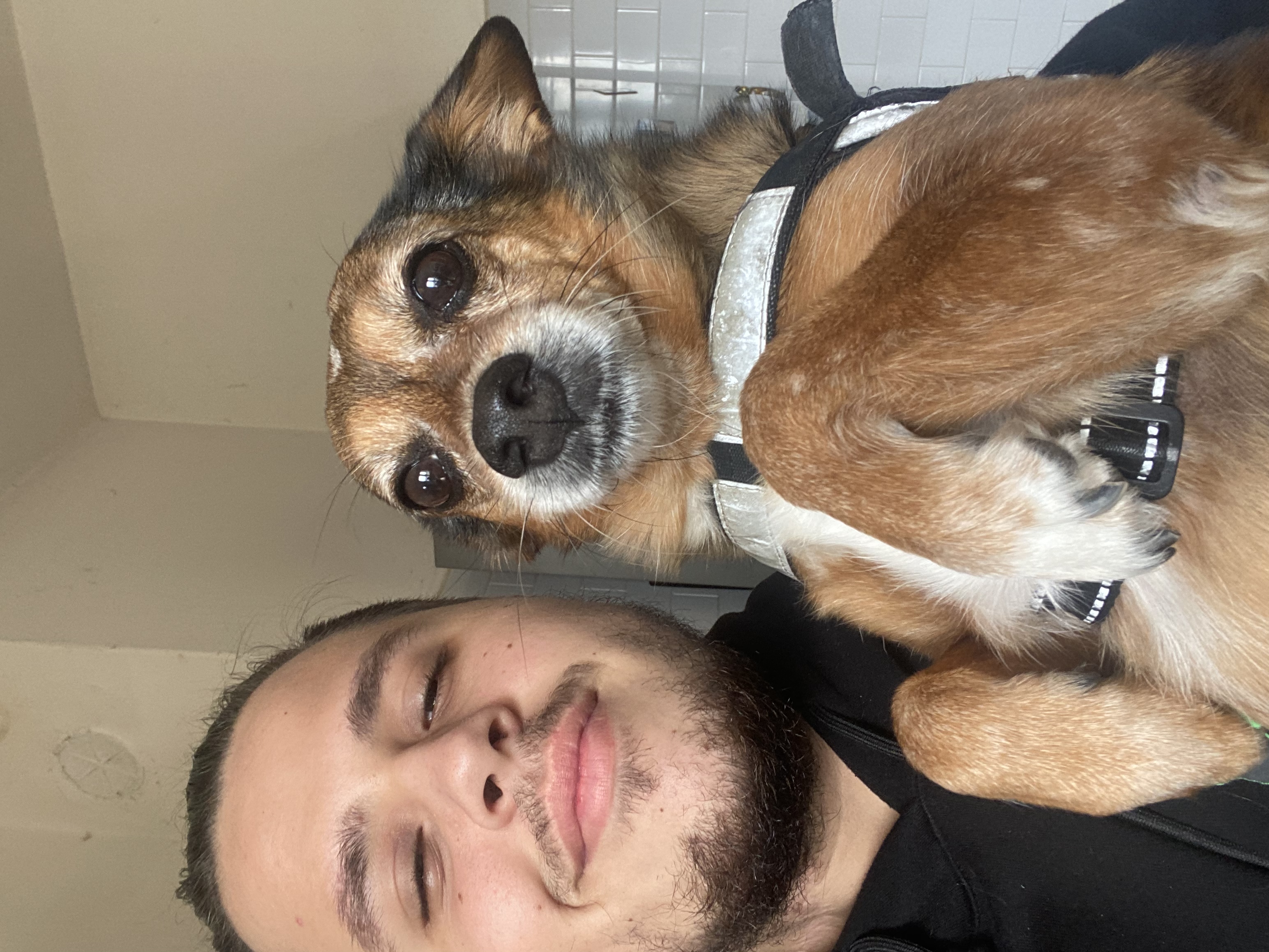 image-7