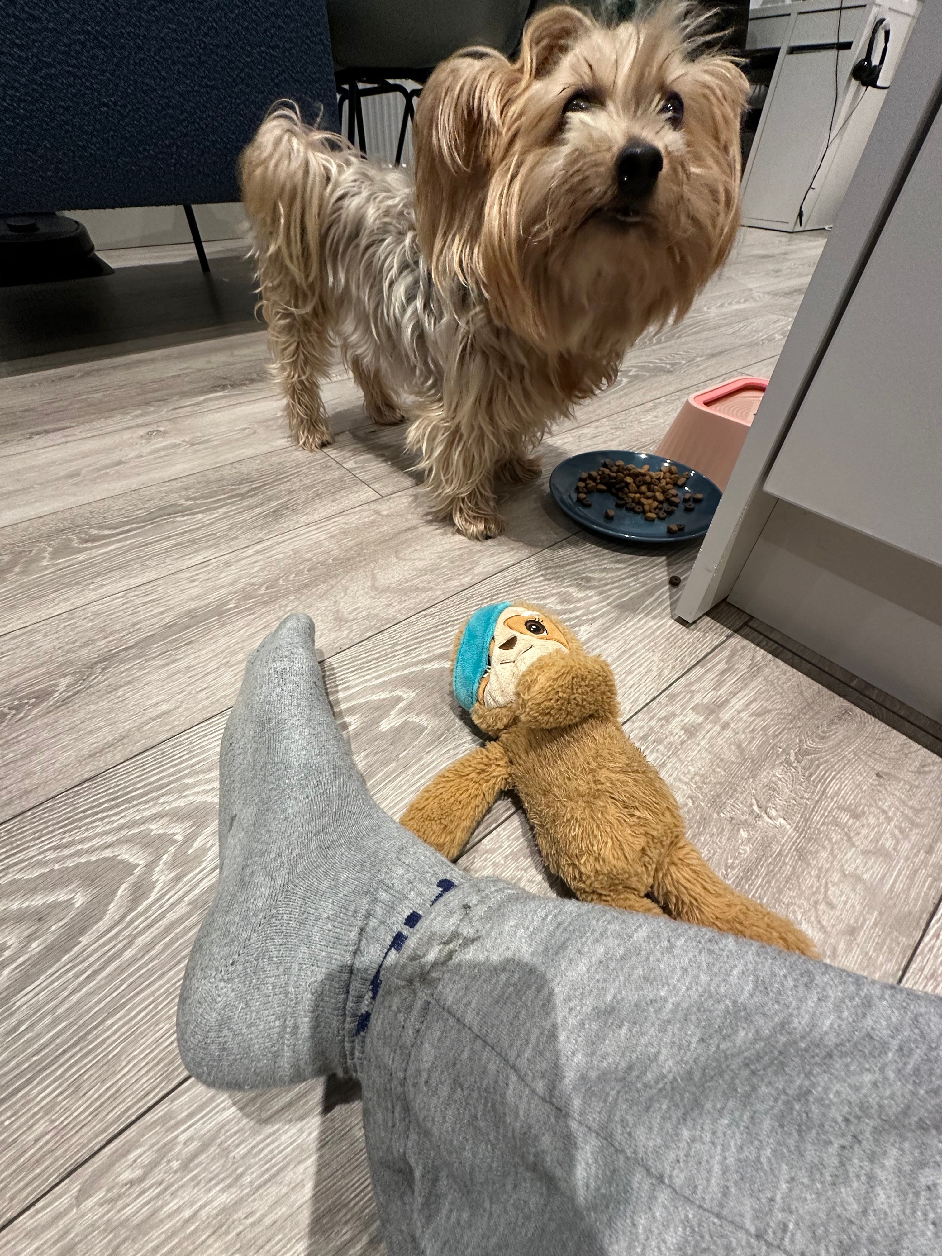 image-9