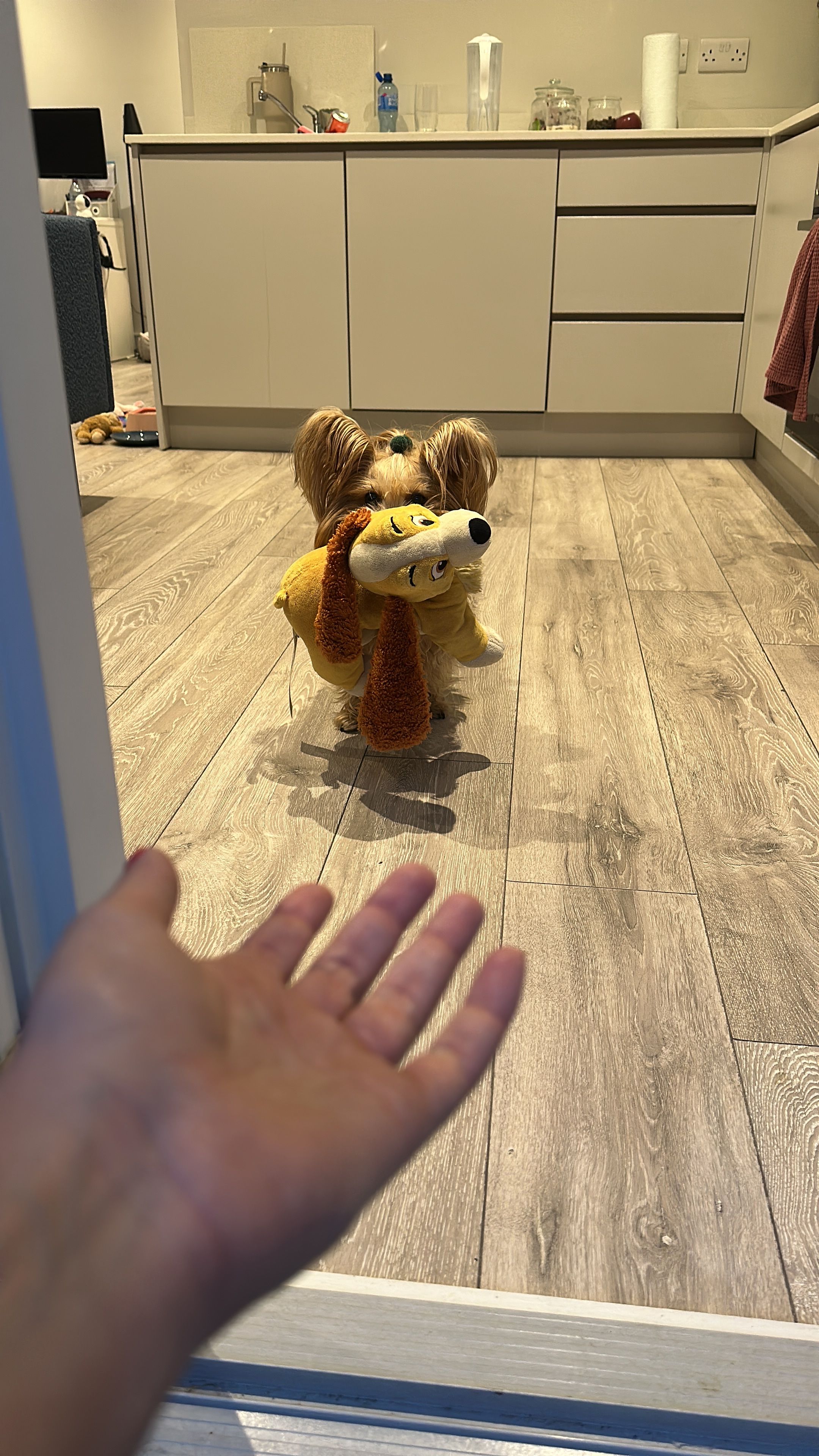 image-10