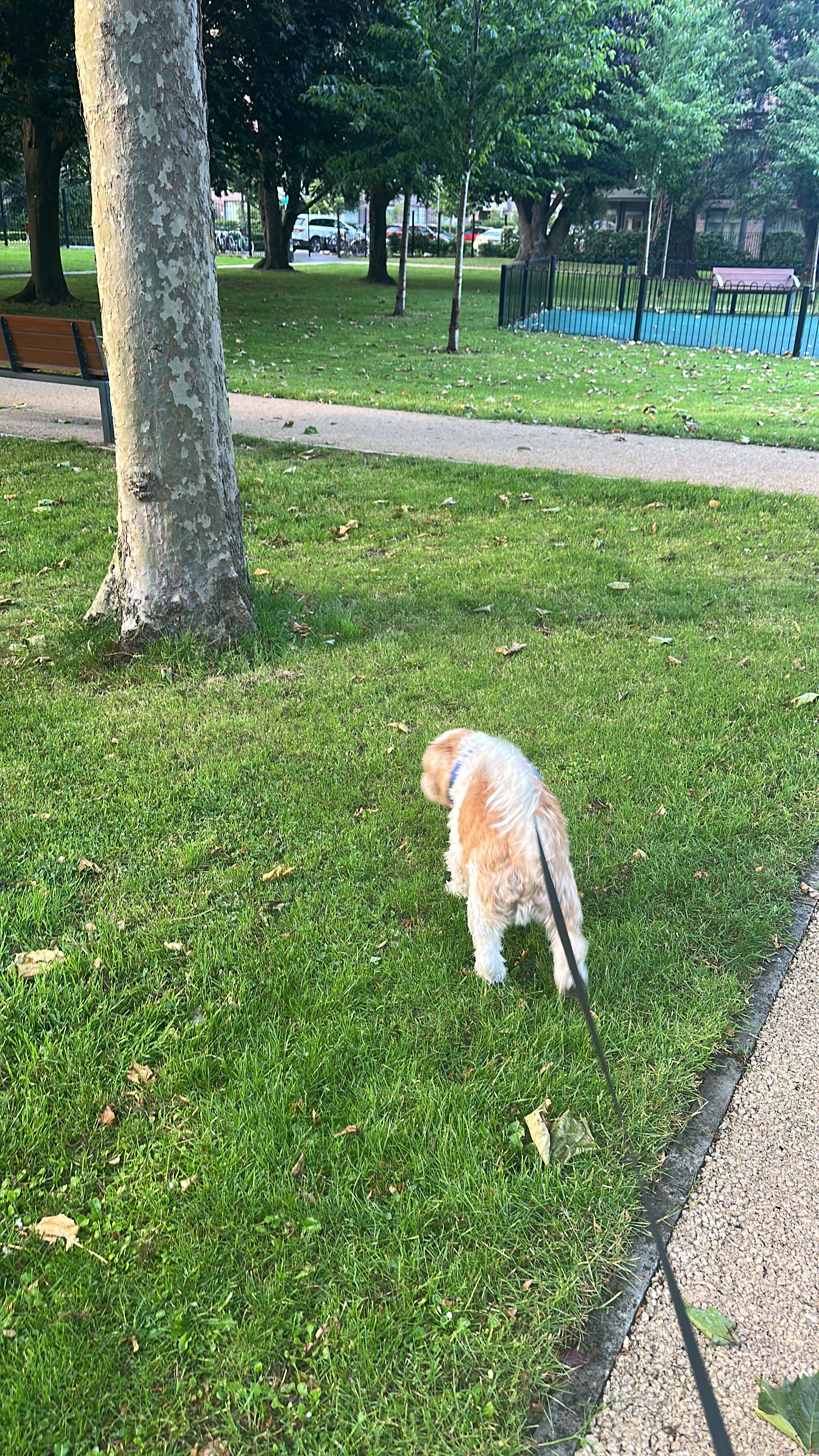 image-8