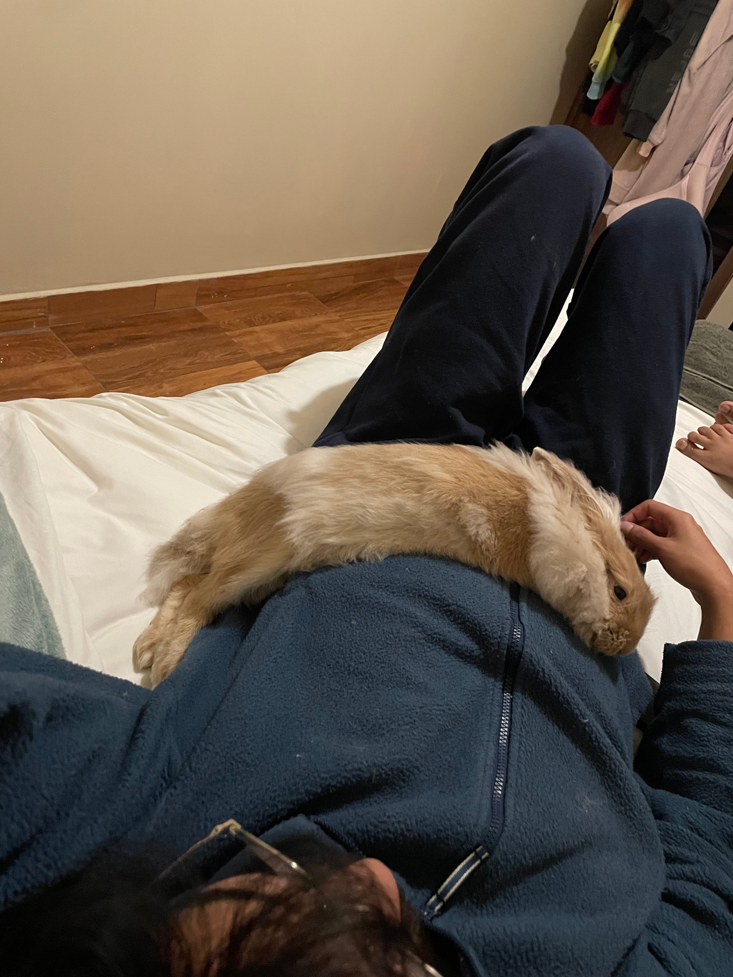 image-7