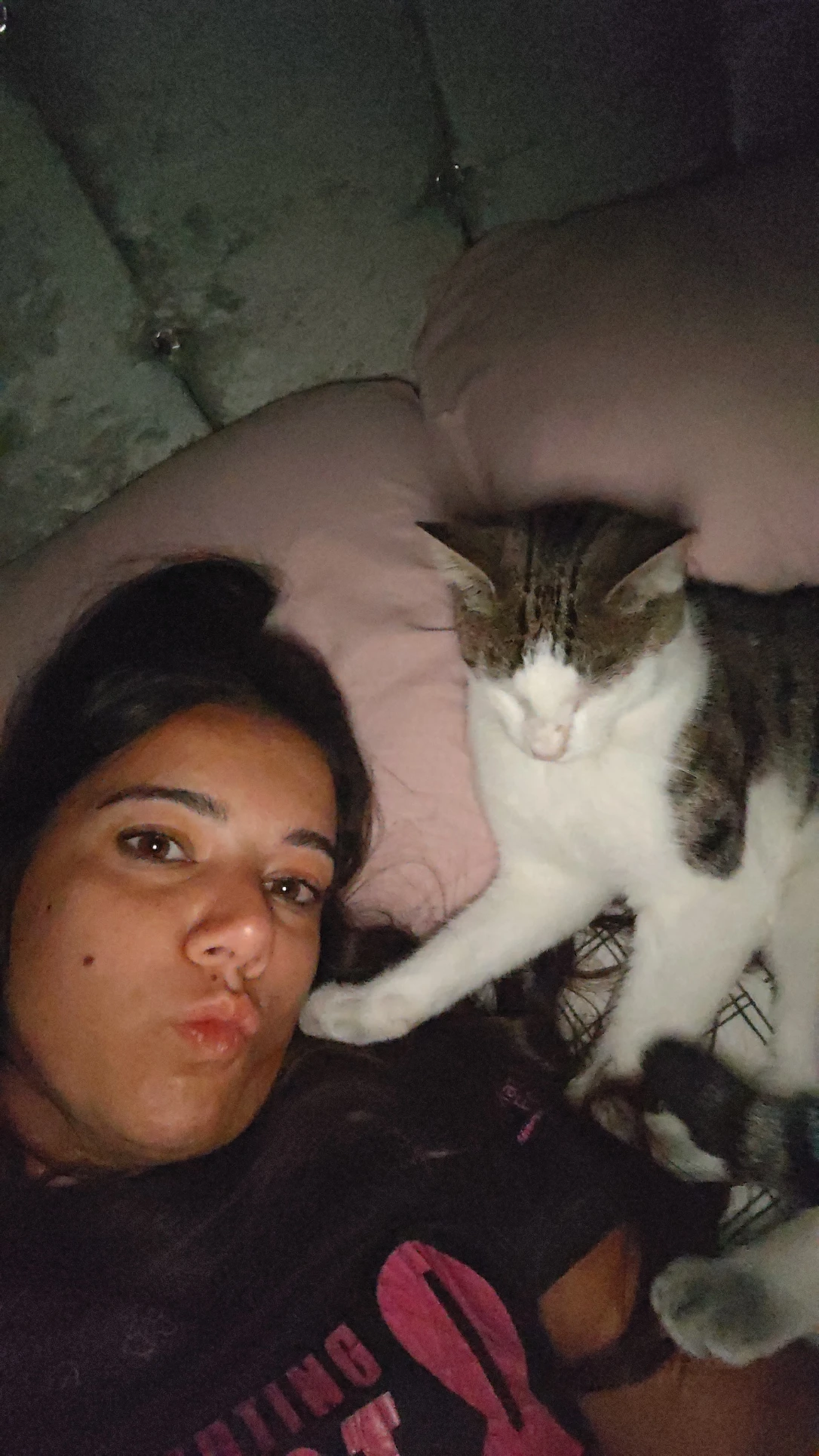 image-5