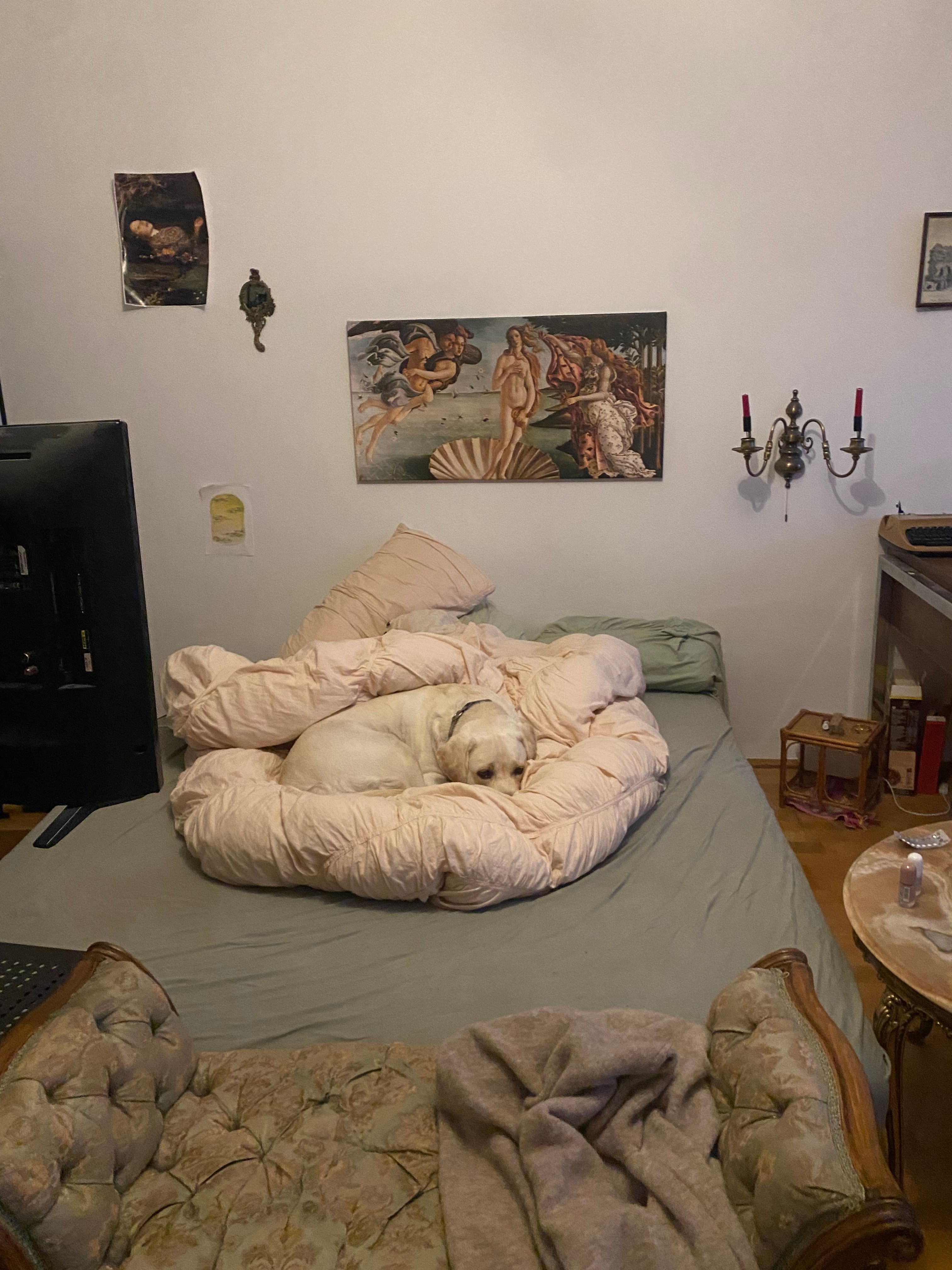 image-5