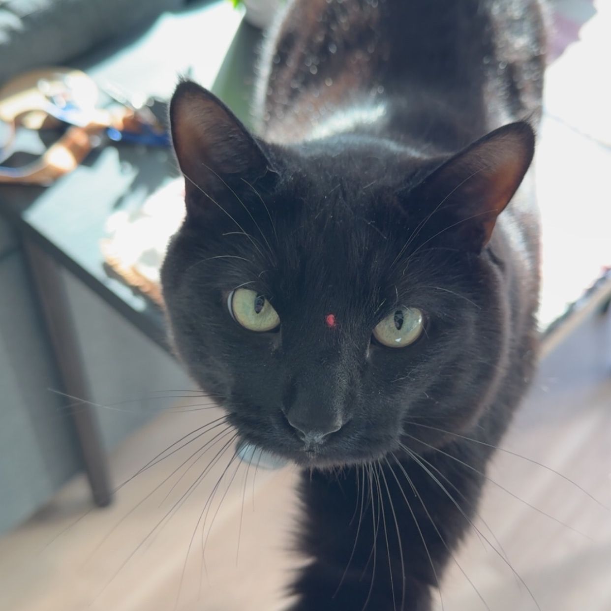 Casper