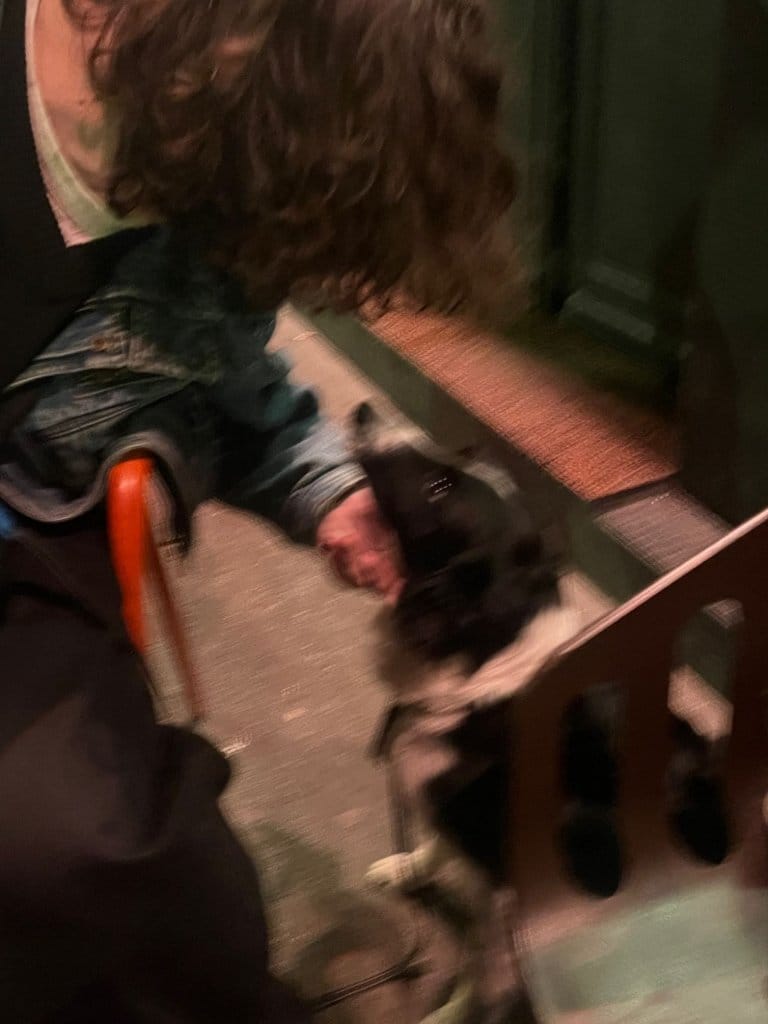 image-4