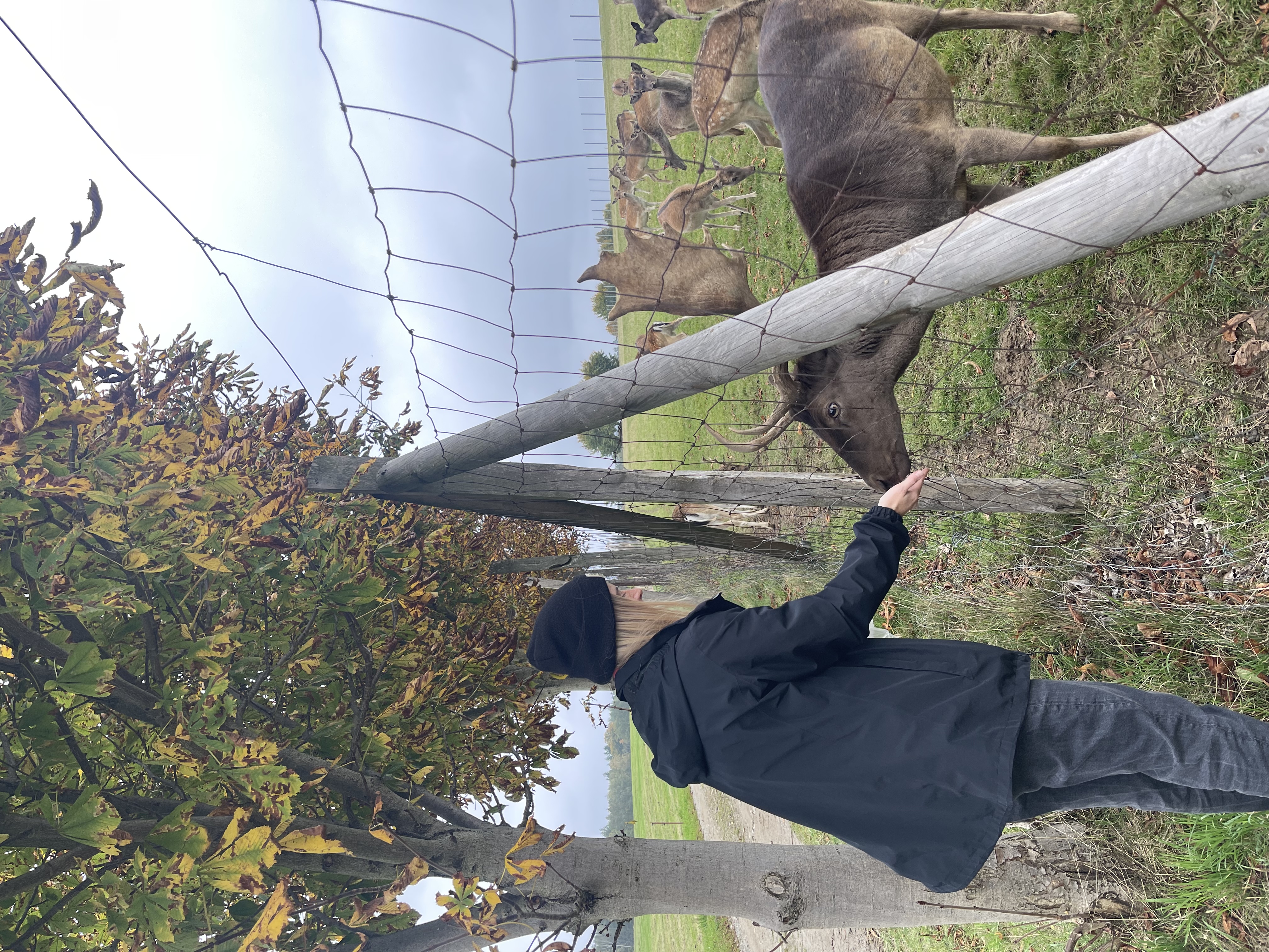 image-5