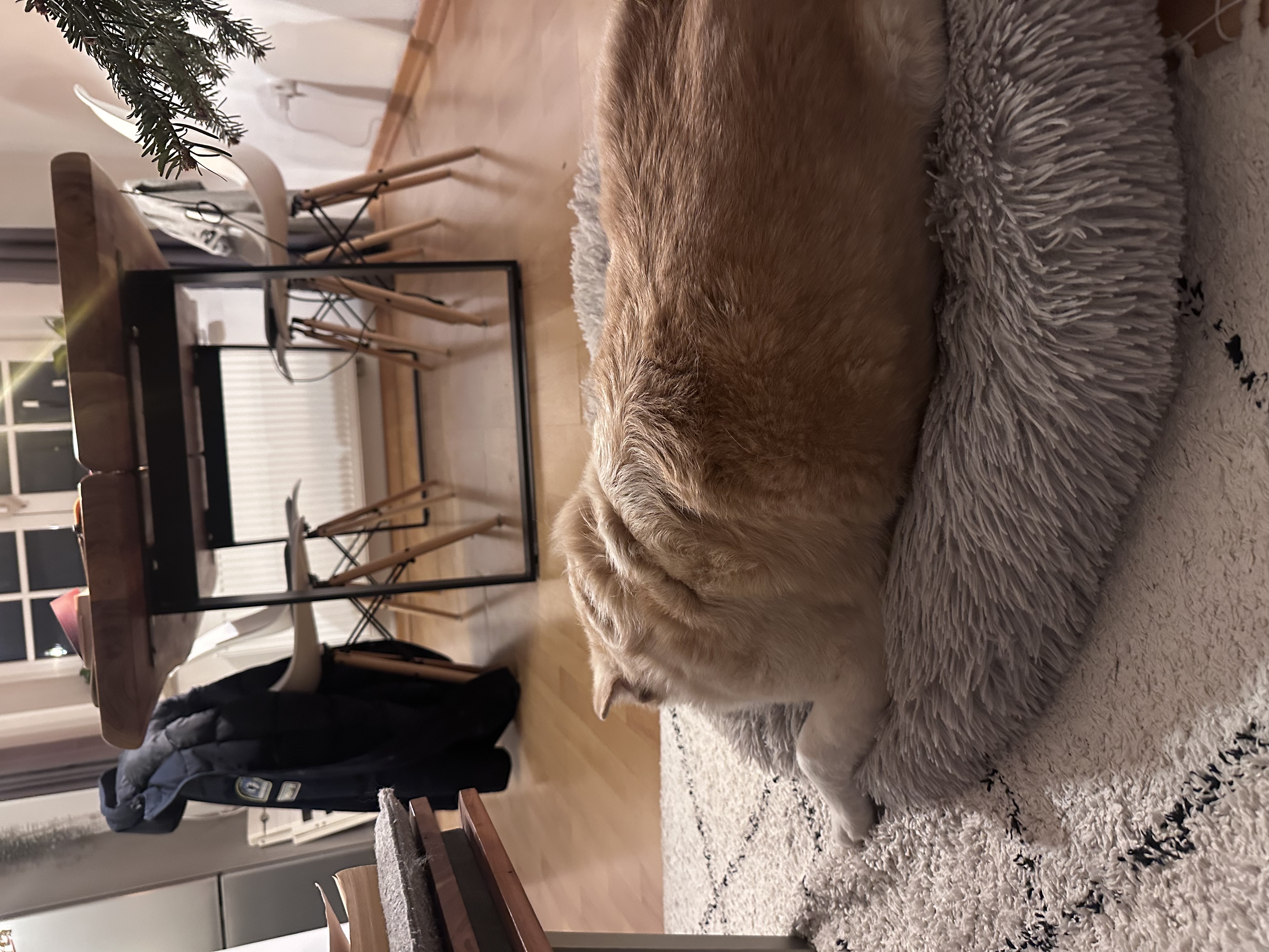 image-16