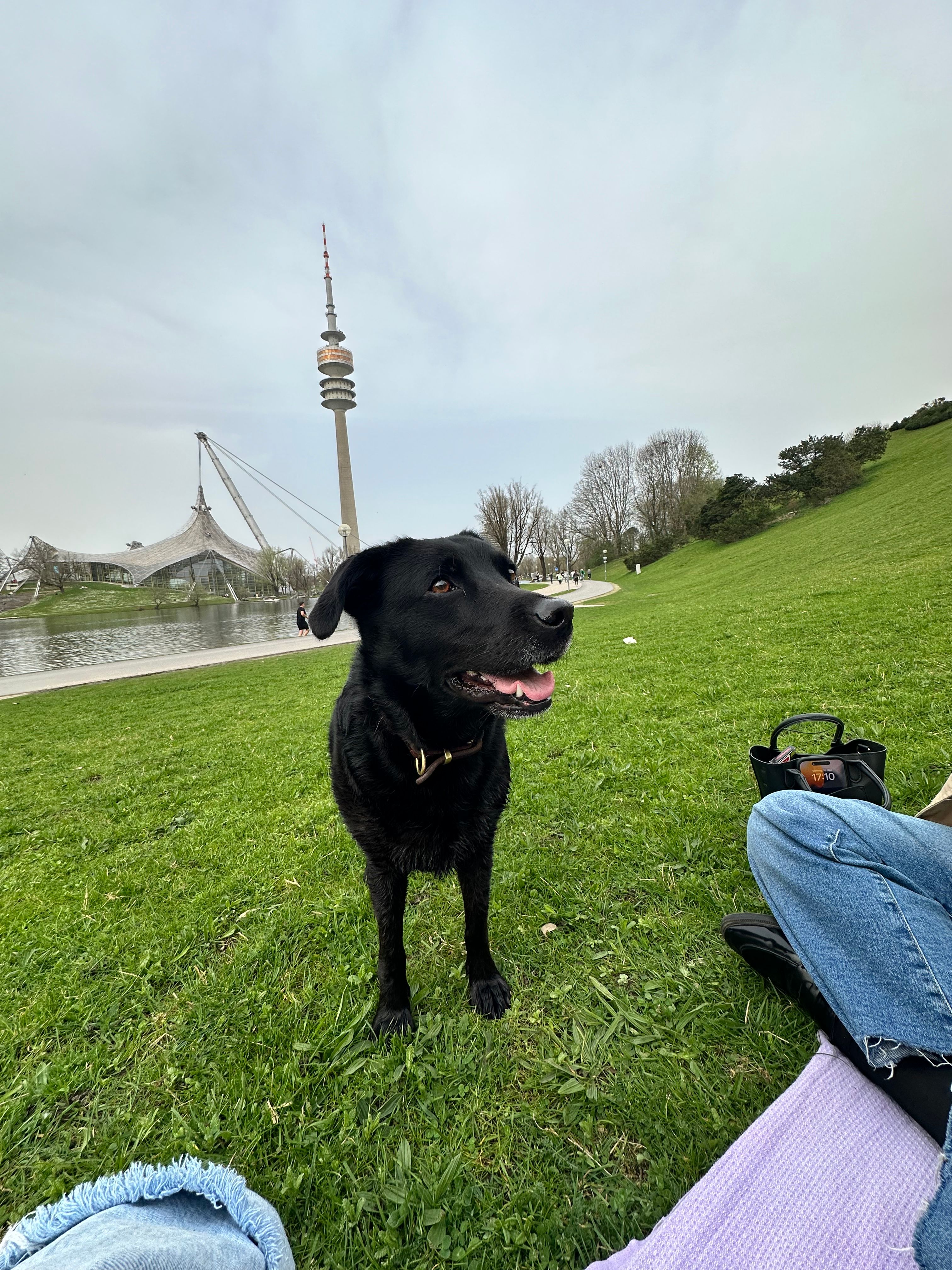 image-10