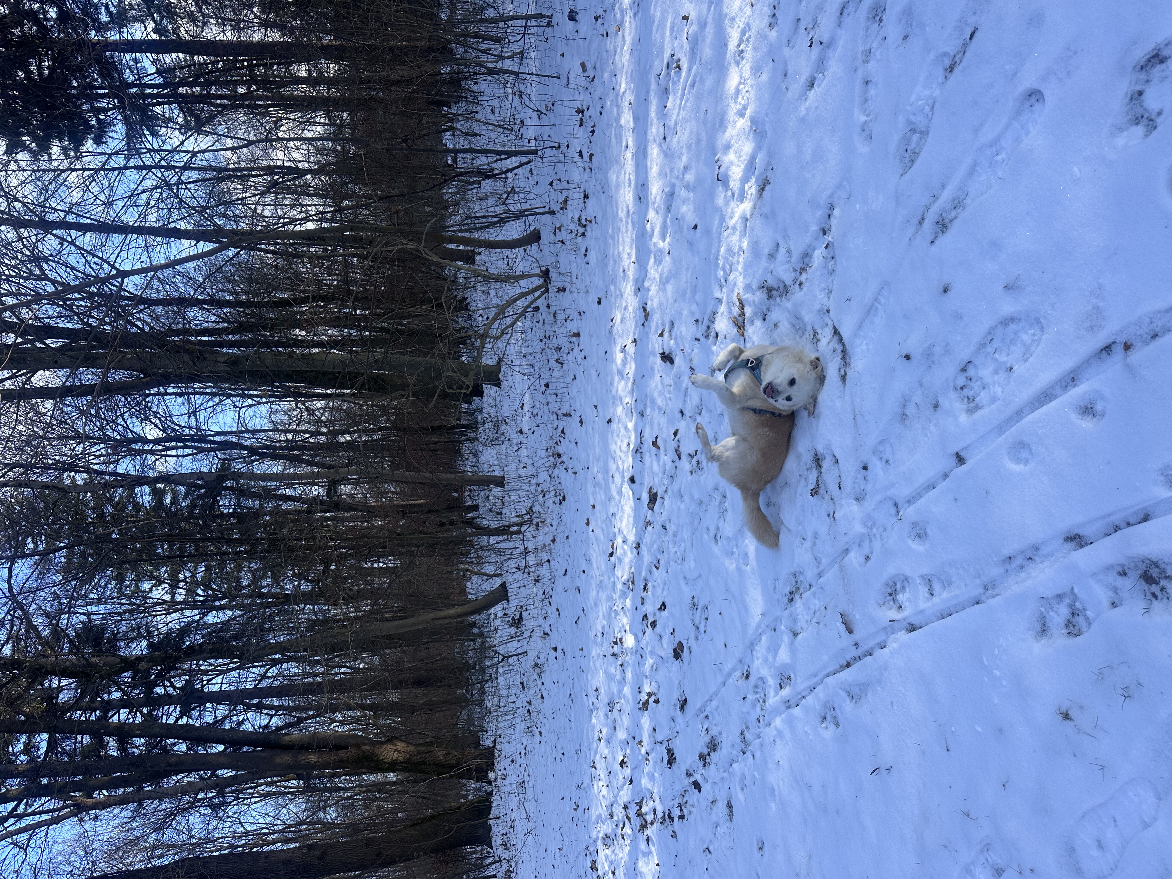 image-13