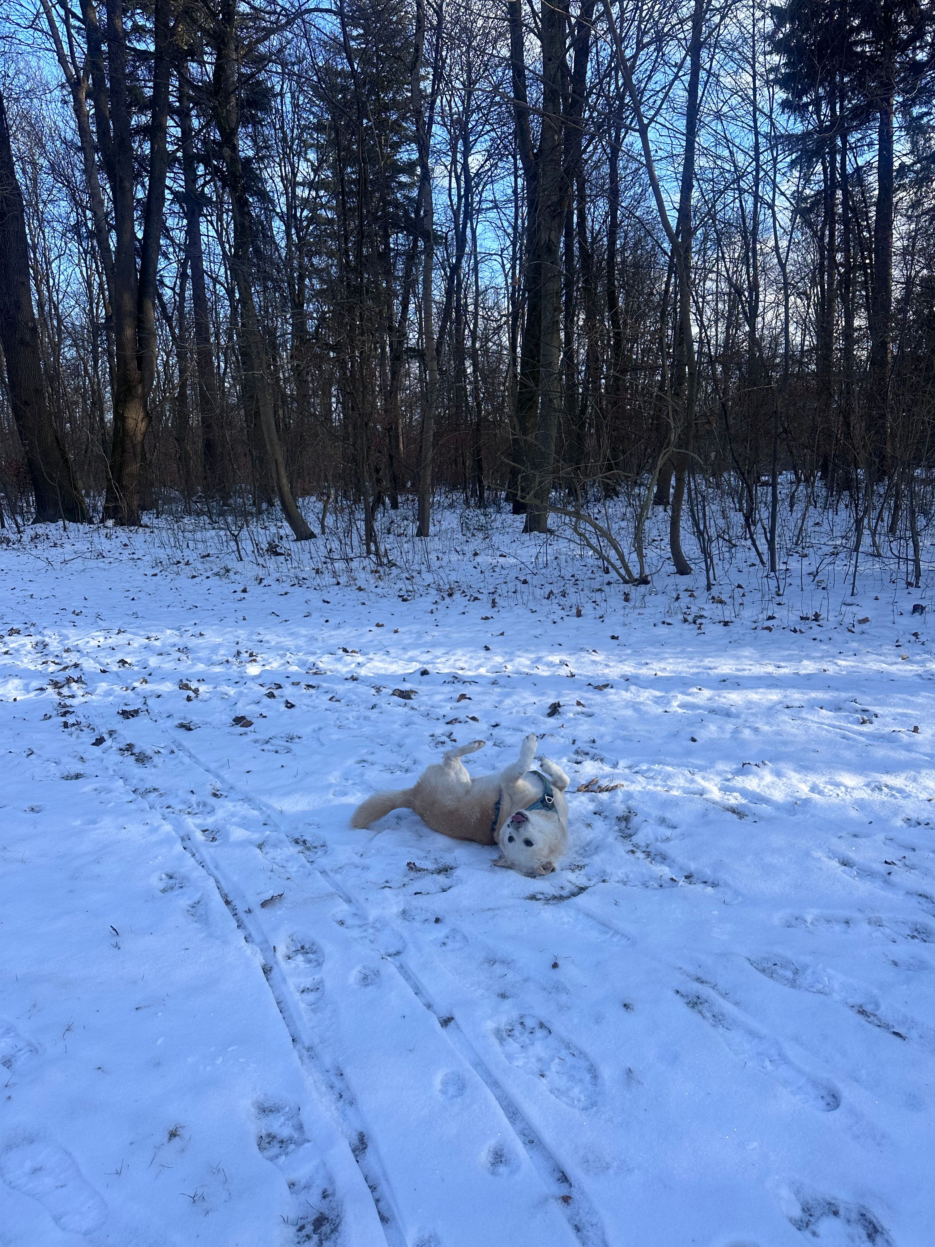 image-13