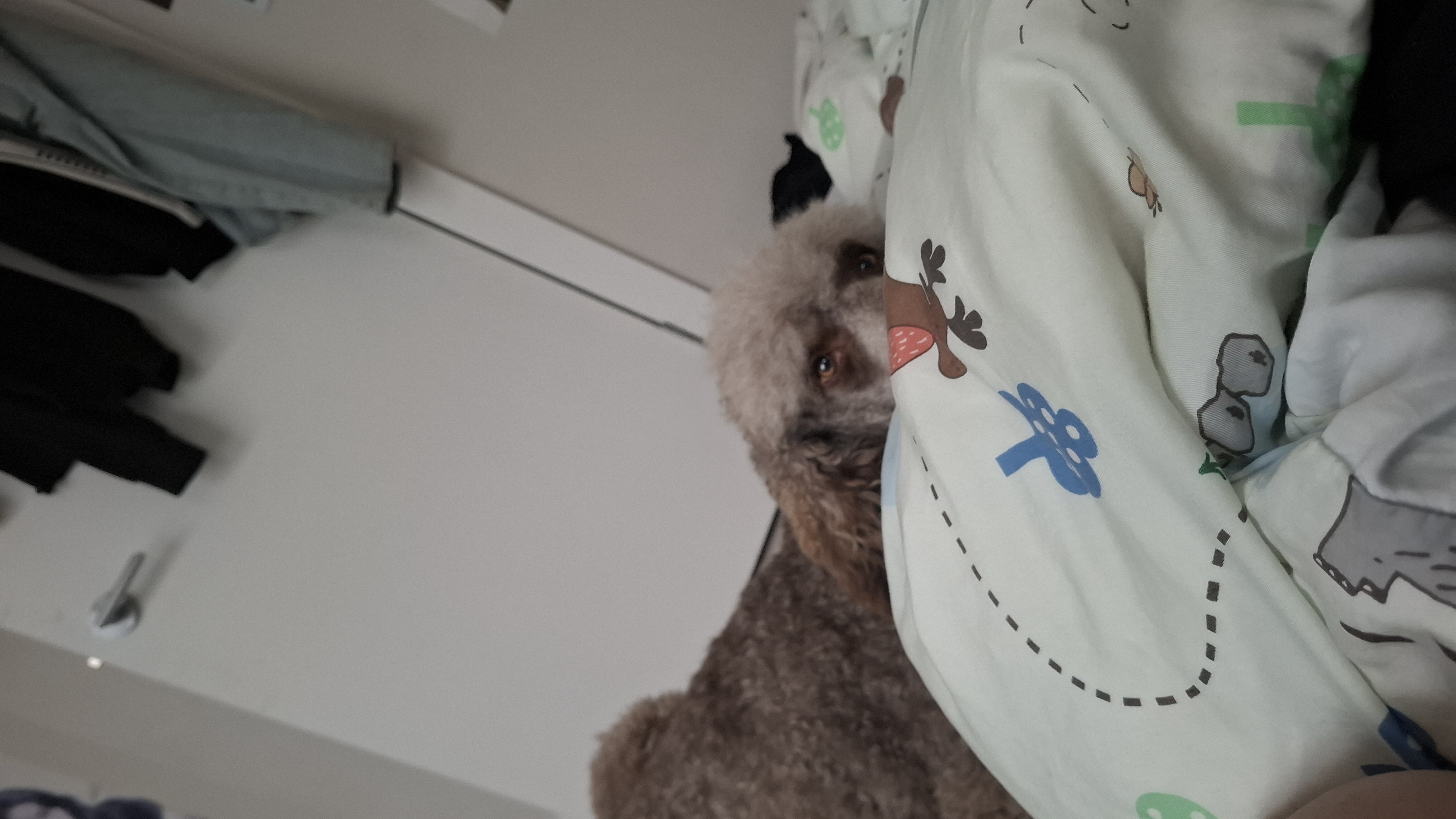image-7