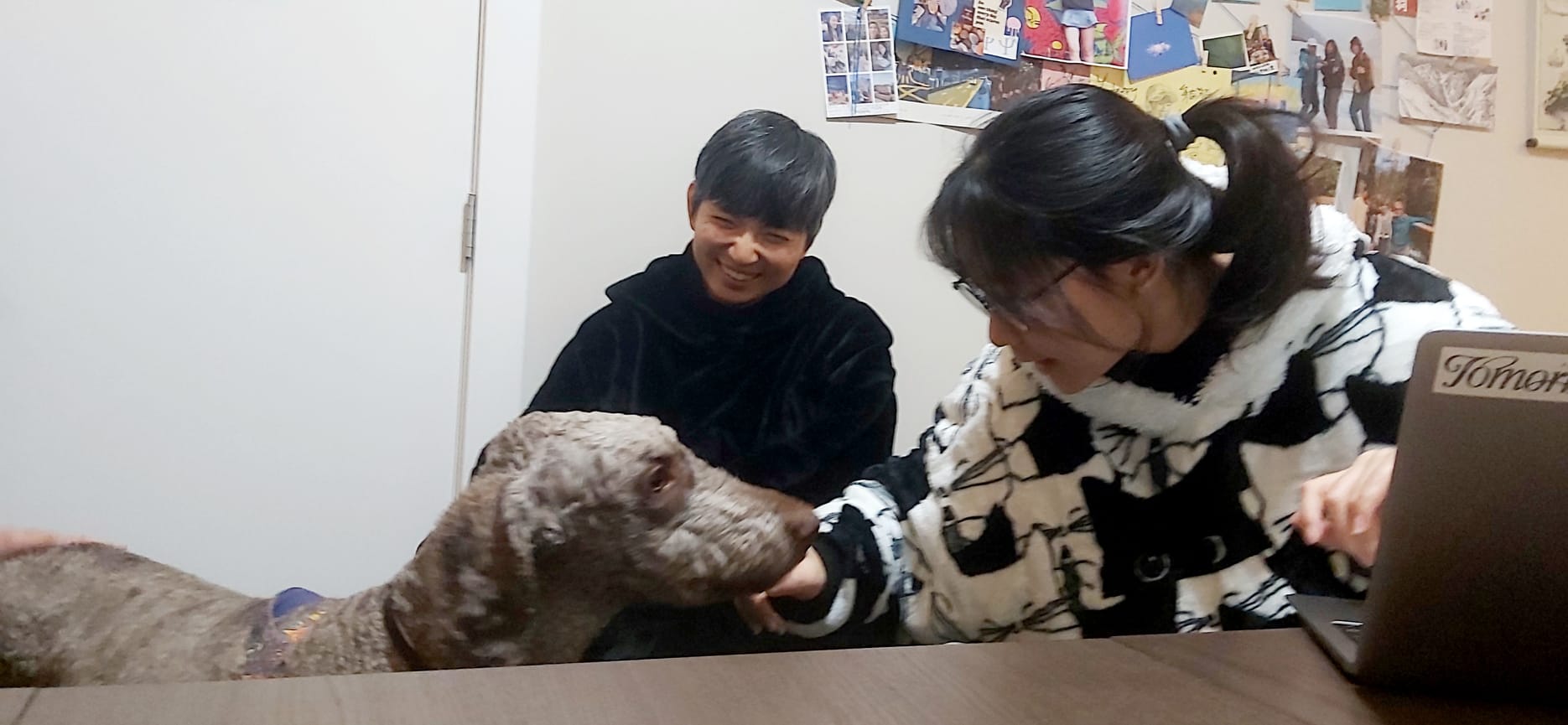 image-5