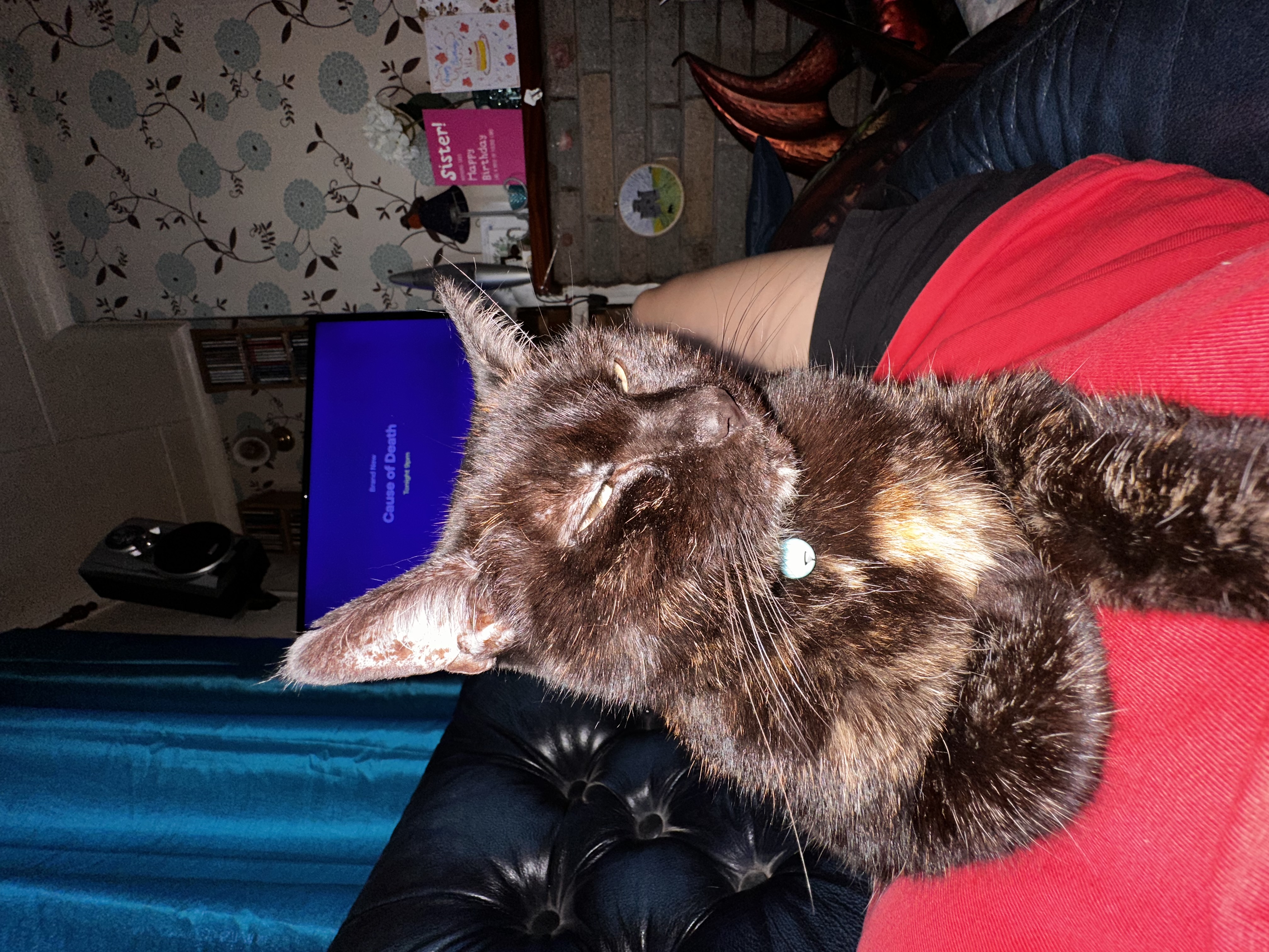 image-5