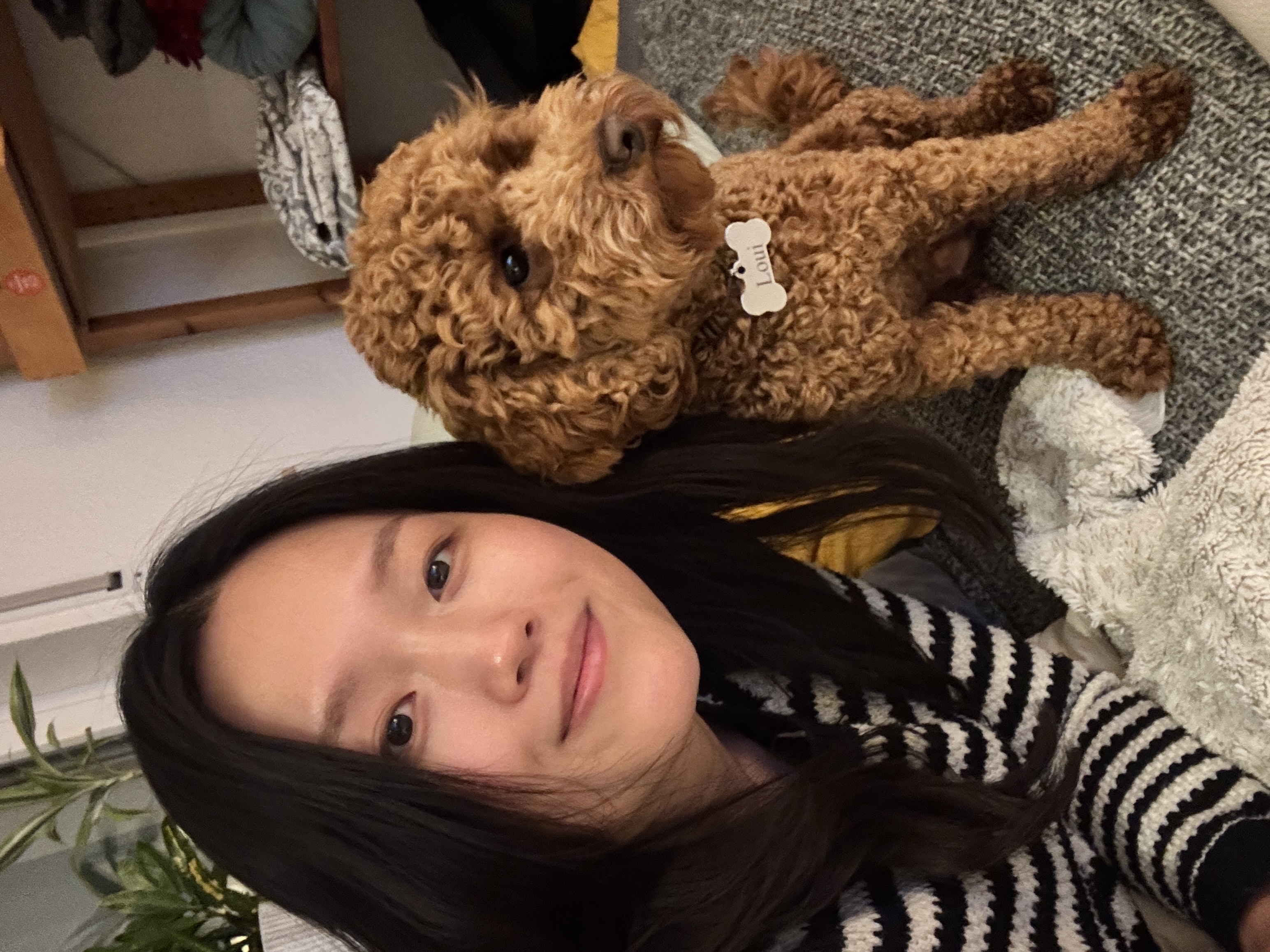 image-11