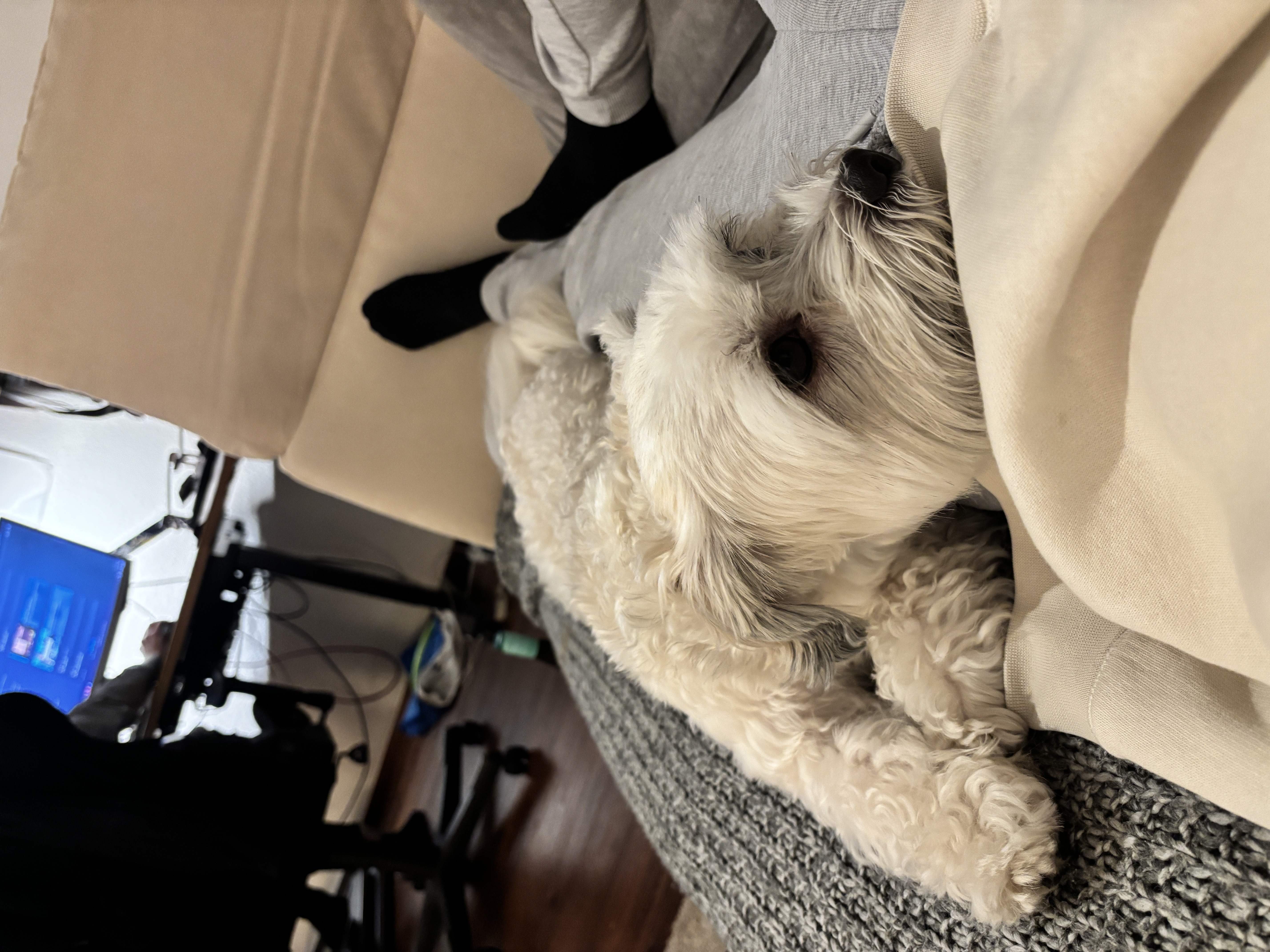 image-6