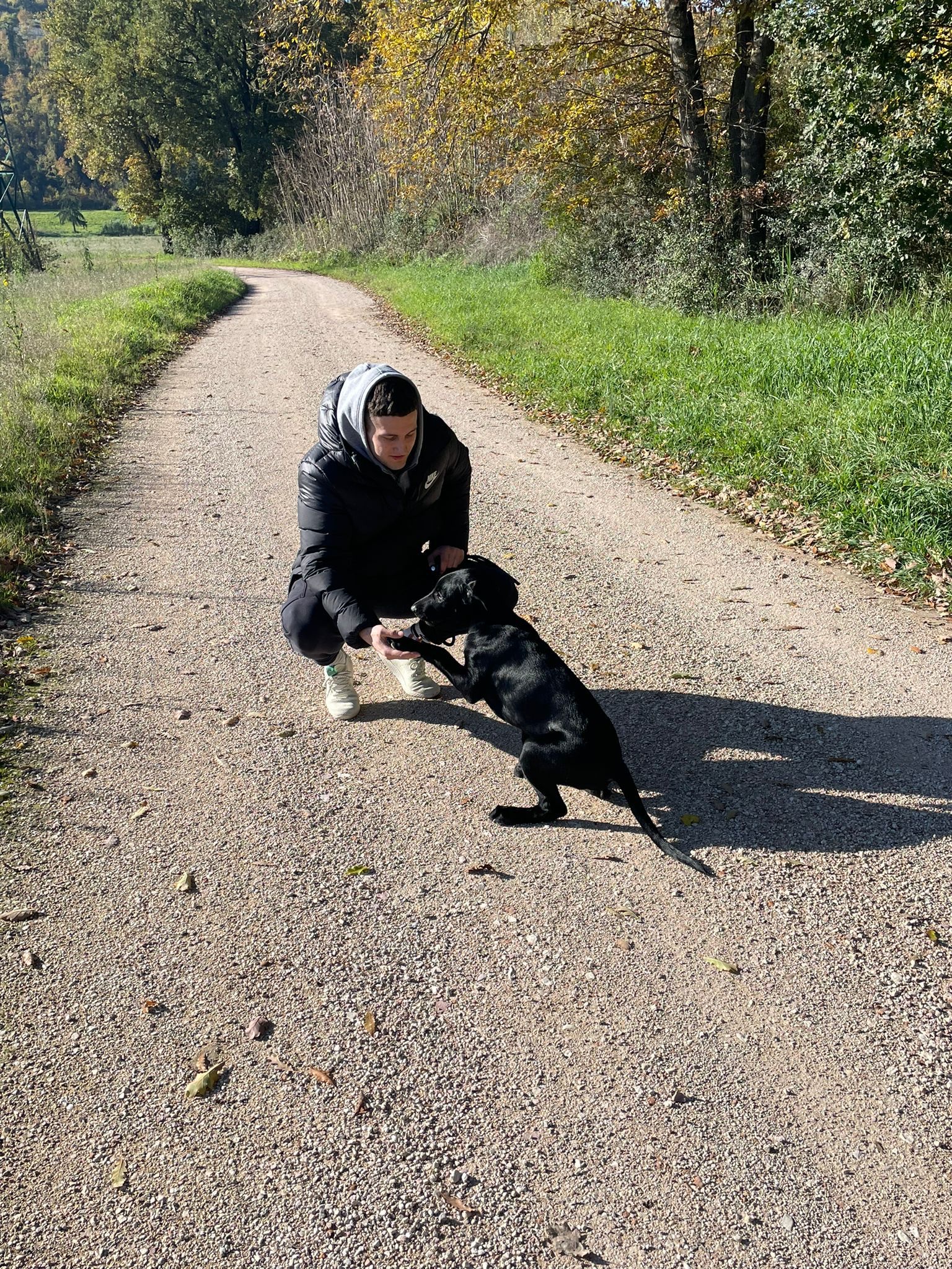 image-11