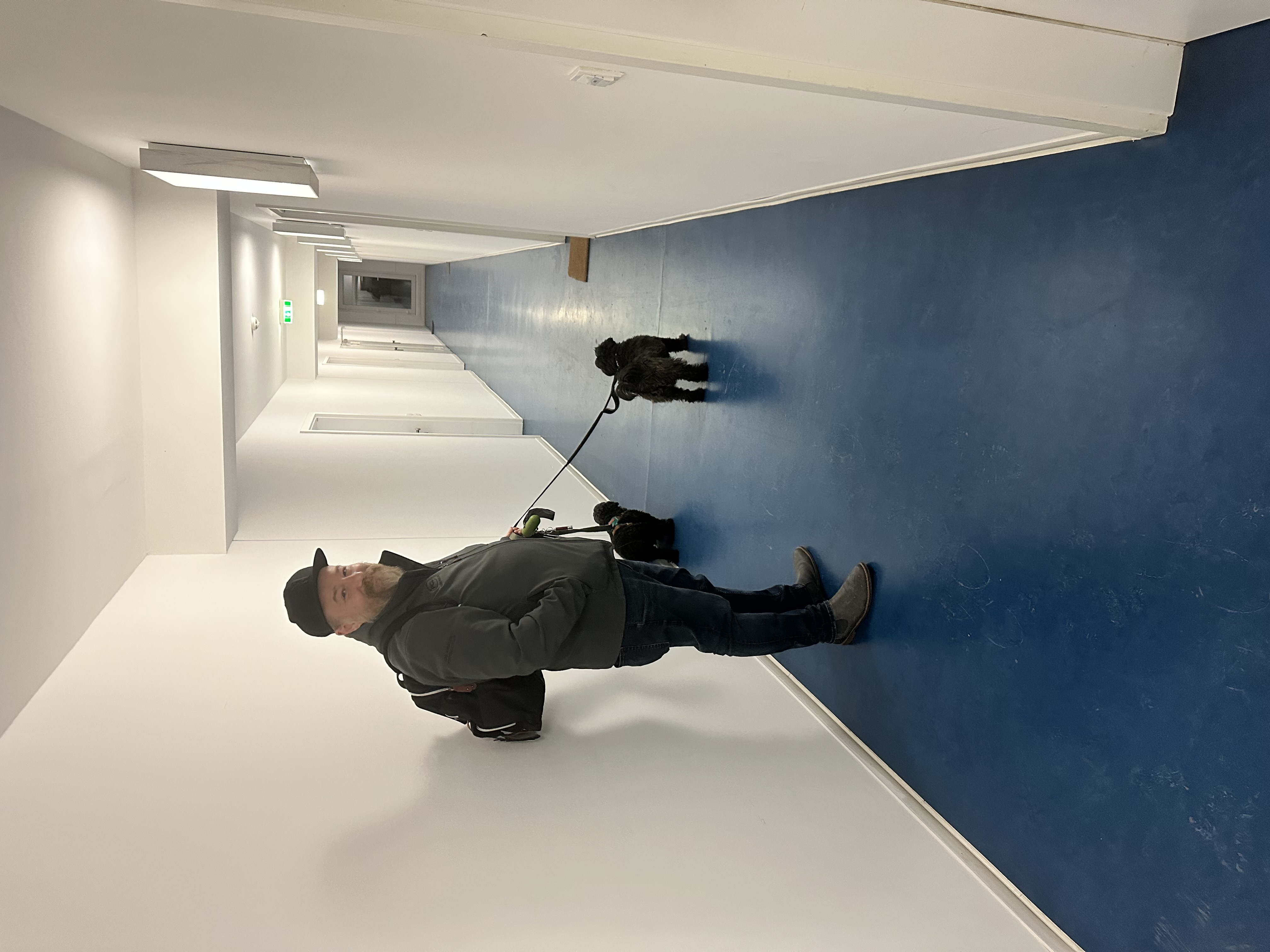 image-5