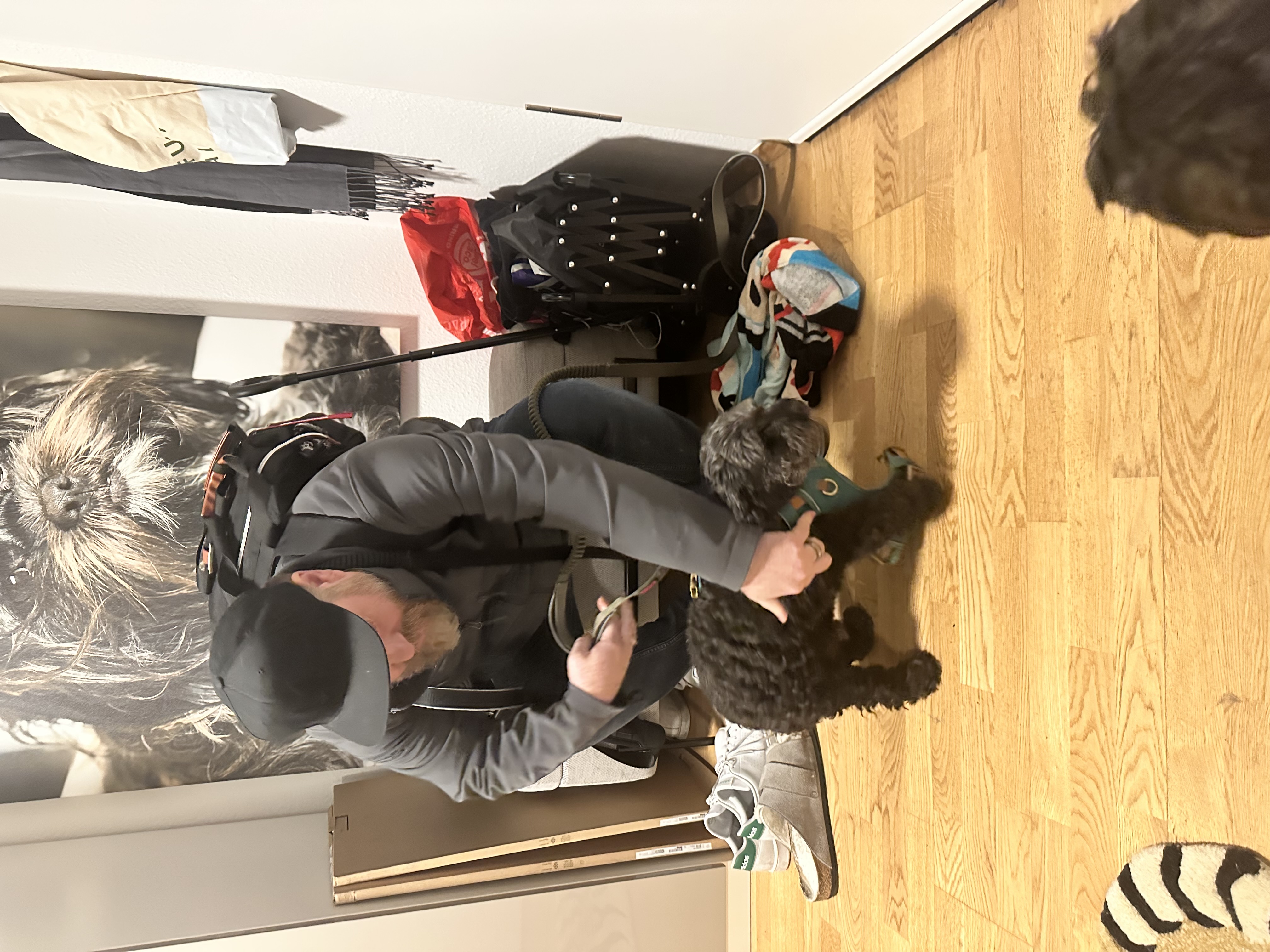 image-3