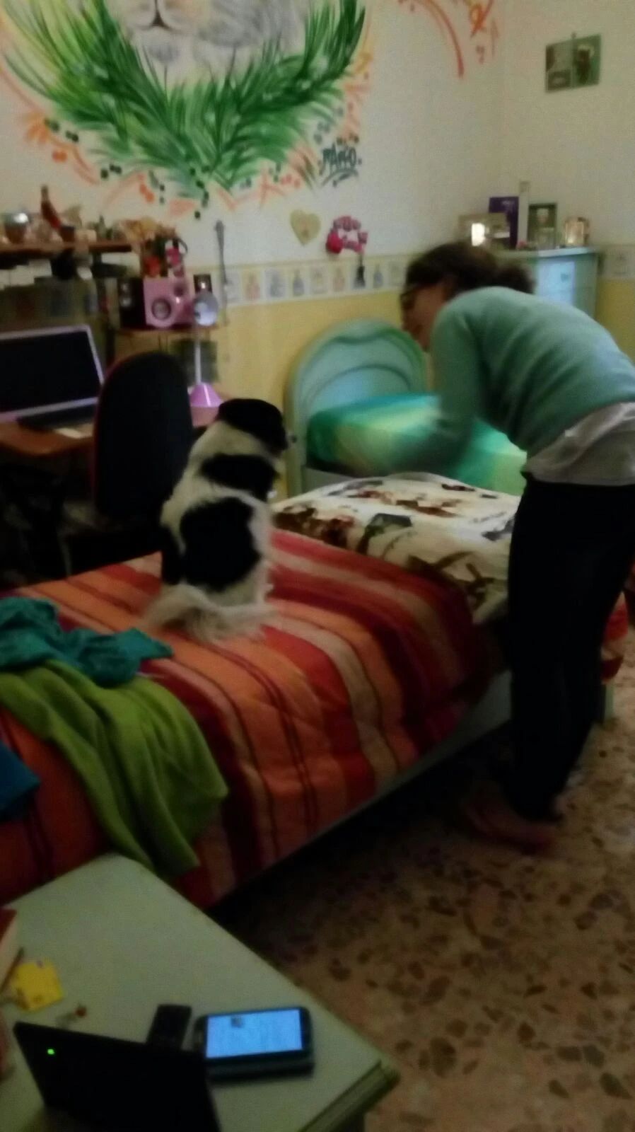 image-11