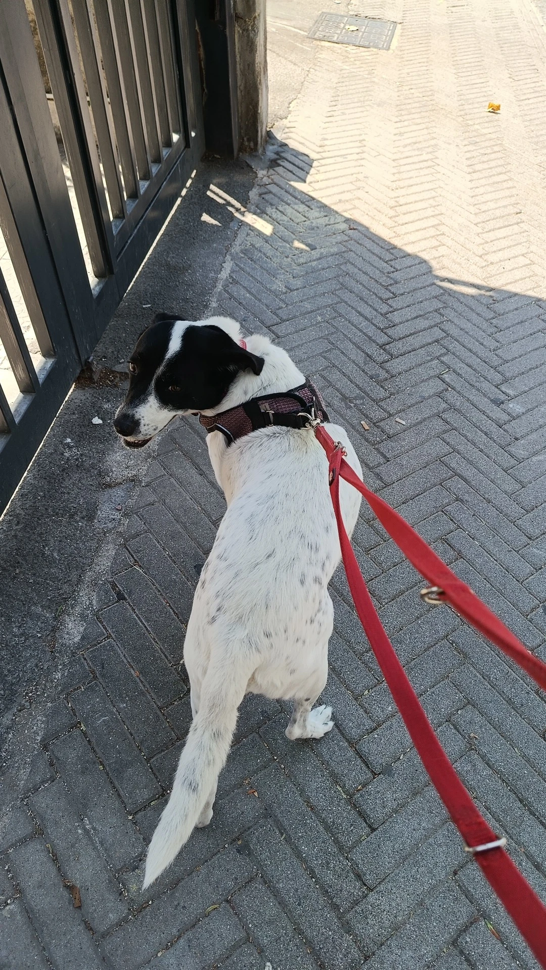 image-19
