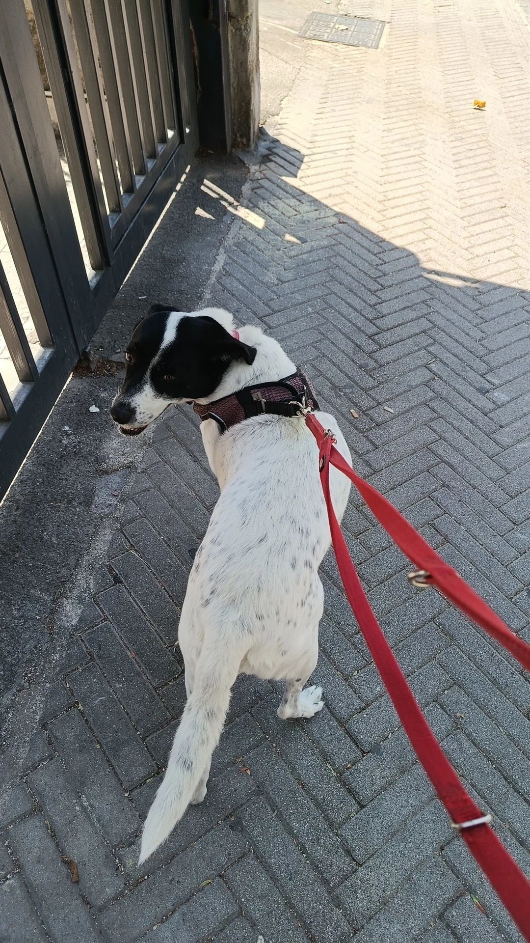 image-19